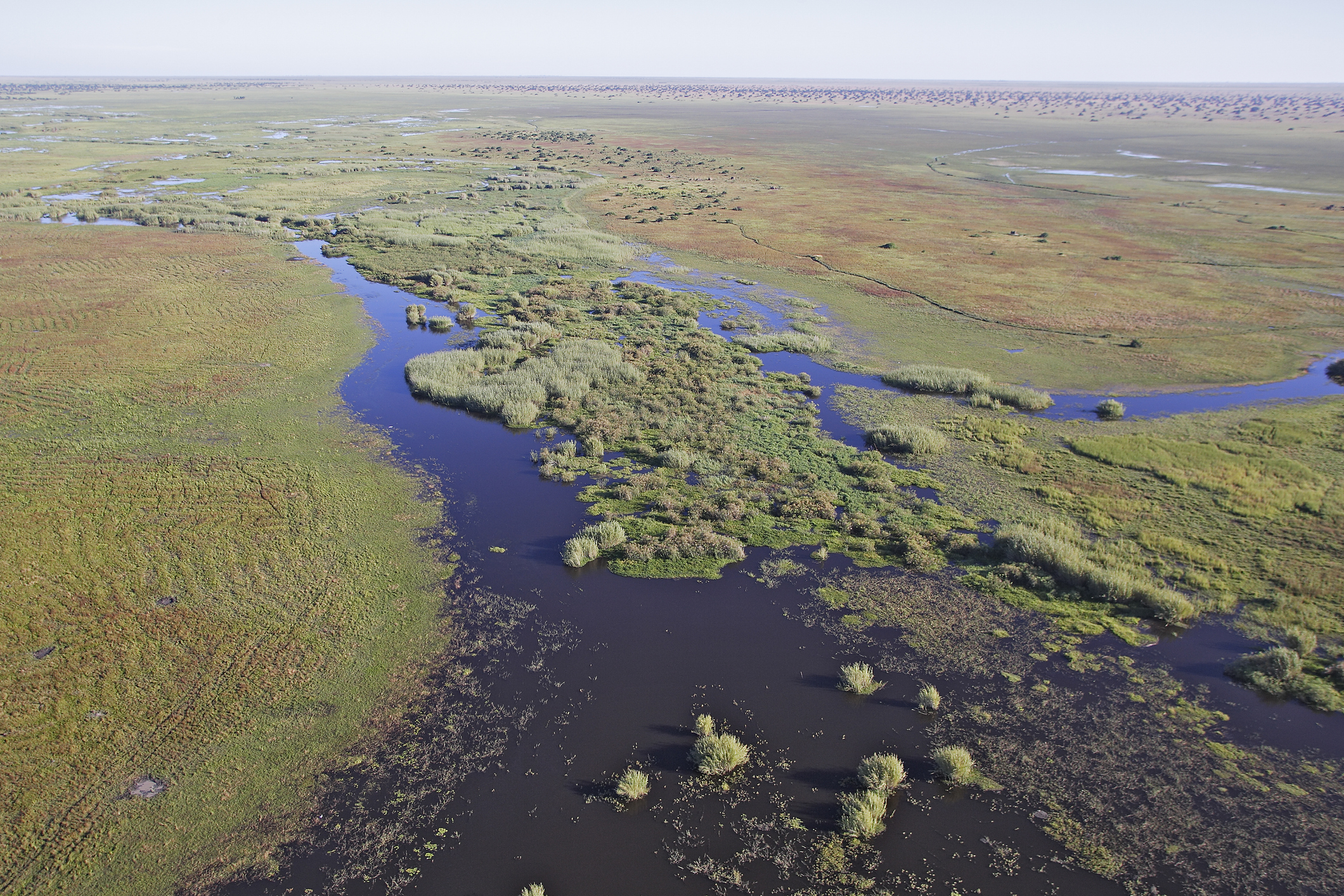 Lake Bangweuleu, Zambia