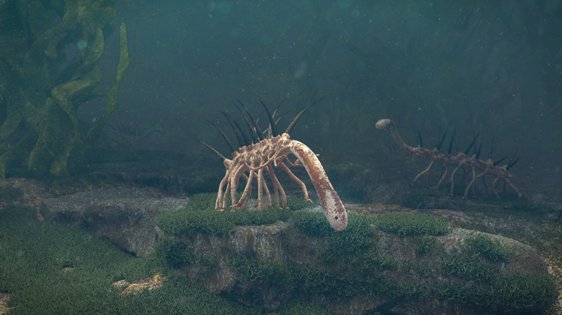 Hallucigenia