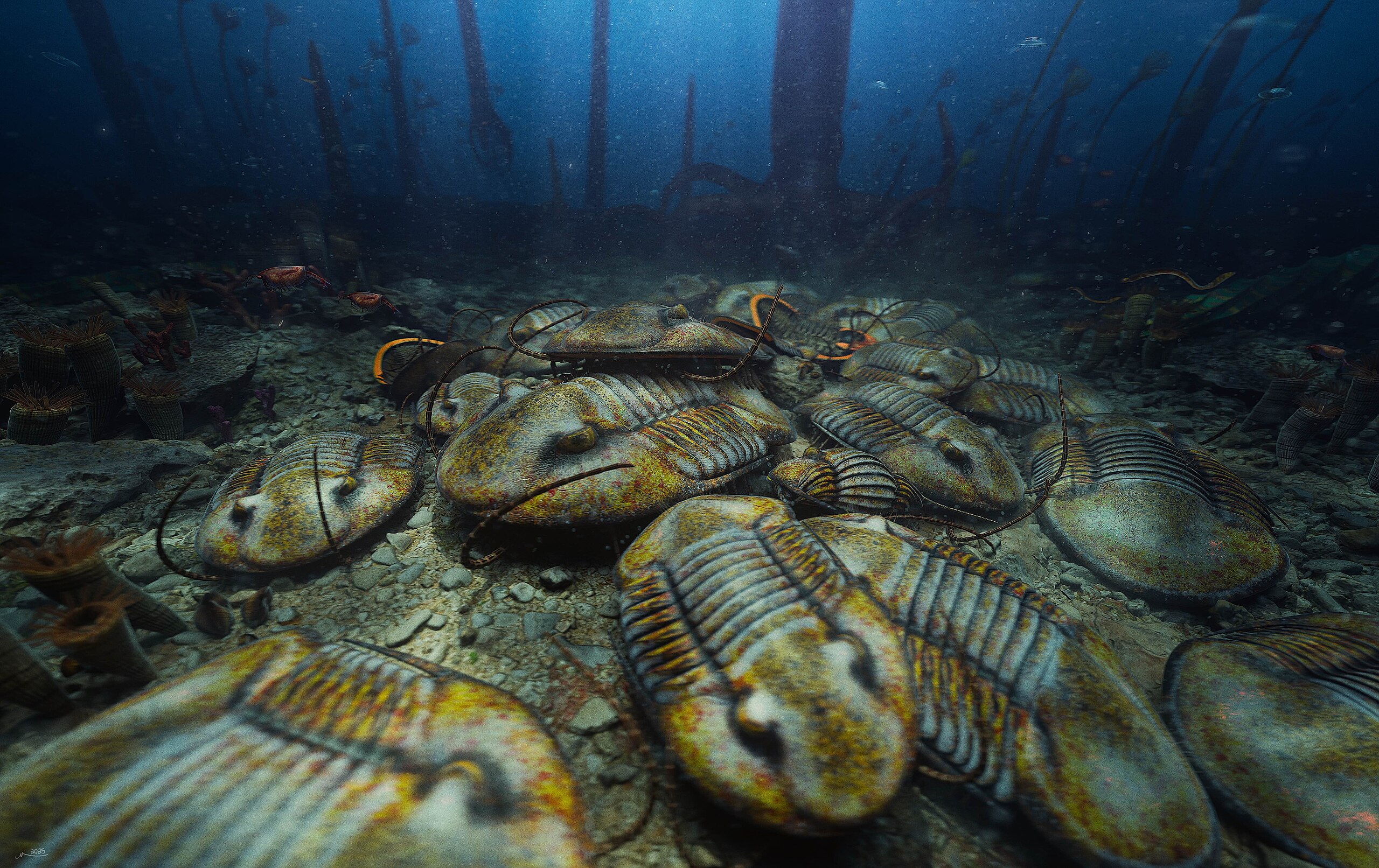 Isotelus maximus