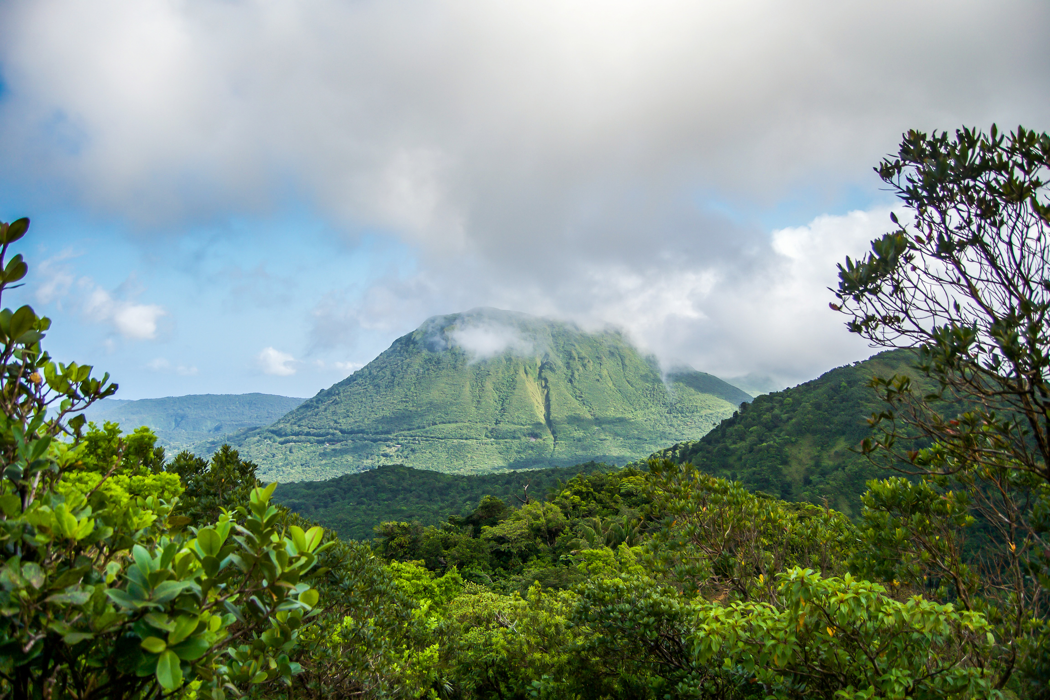 Volcano and forest