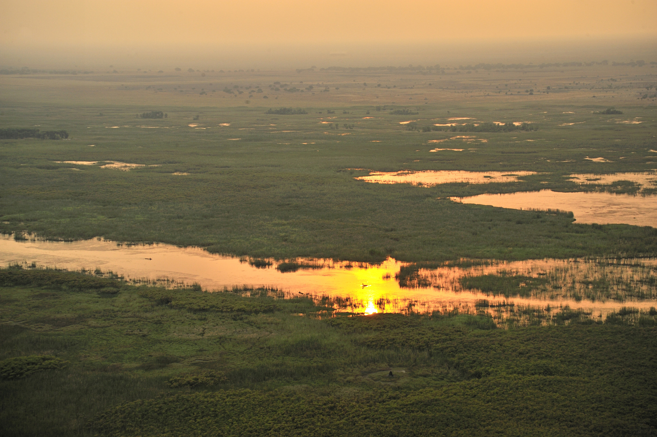 Sudd Swamp