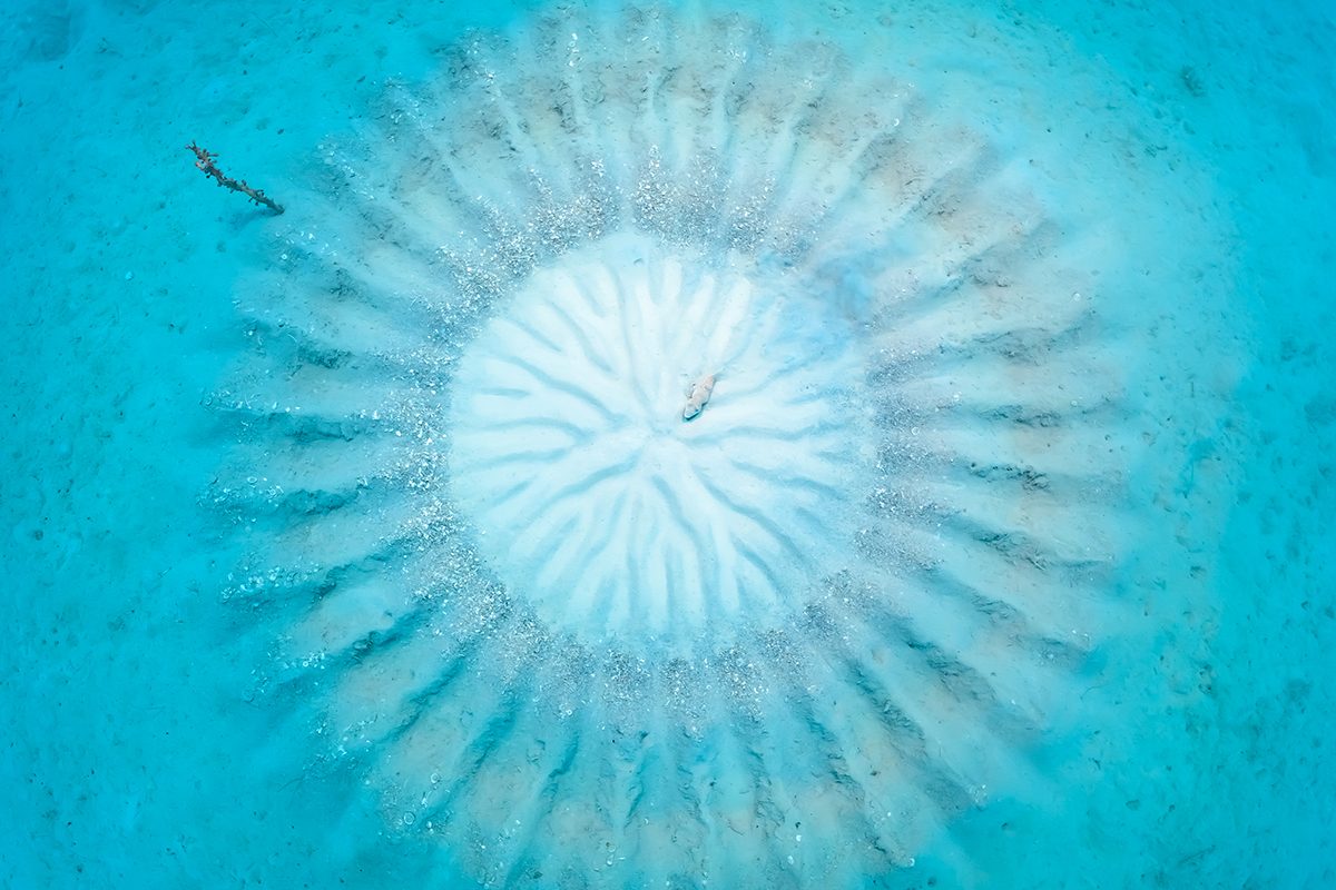 A underwater image looking down on a circular pattern in the sand, tinted blue by the water.  