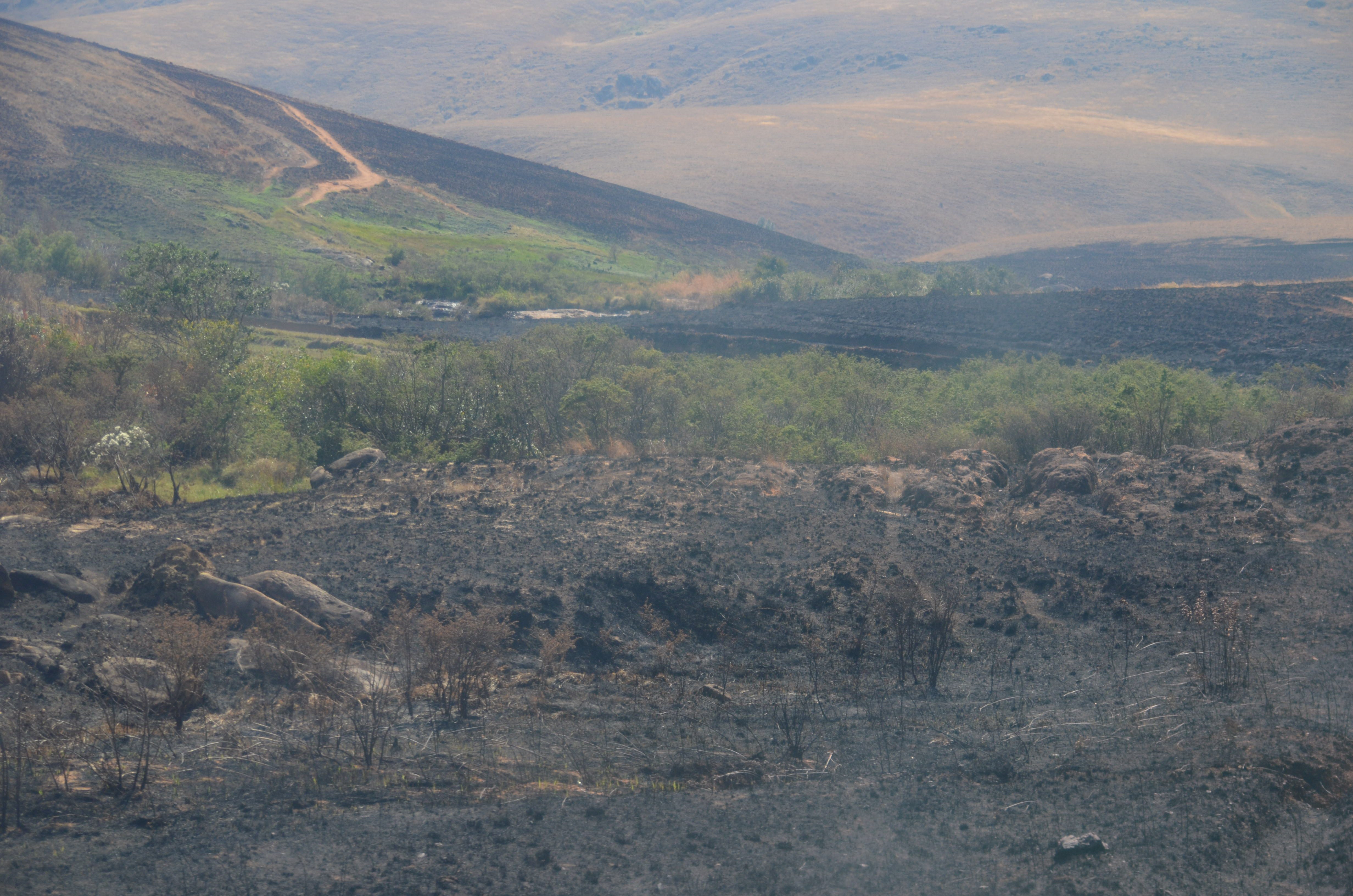 Habitat loss, often due to fire, is the greatest concern for all lemurs in Madagascar. © Lynne Venart