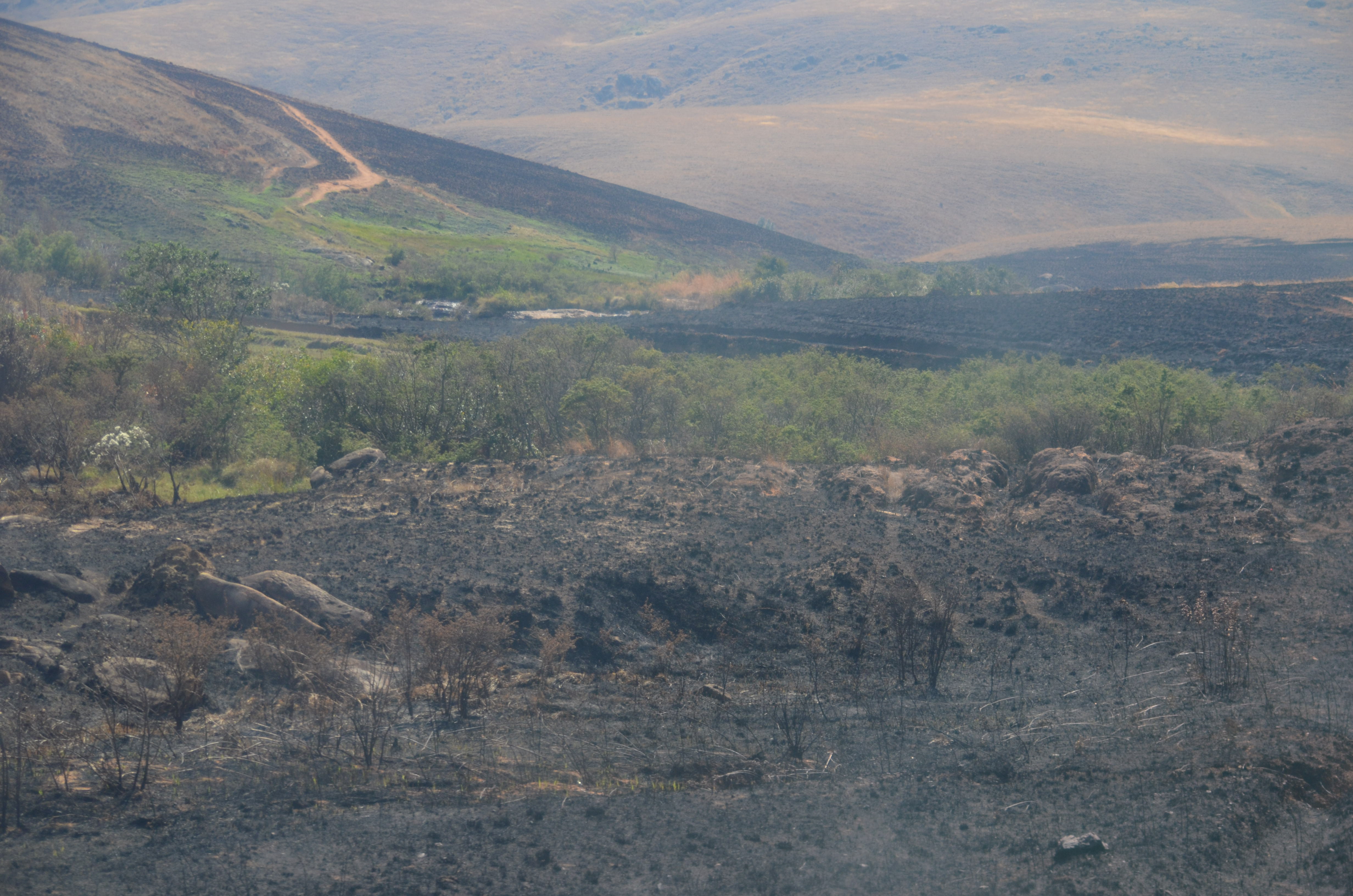 Habitat loss, often due to fire, is the greatest concern for all lemurs in Madagascar. © Lynne Venart