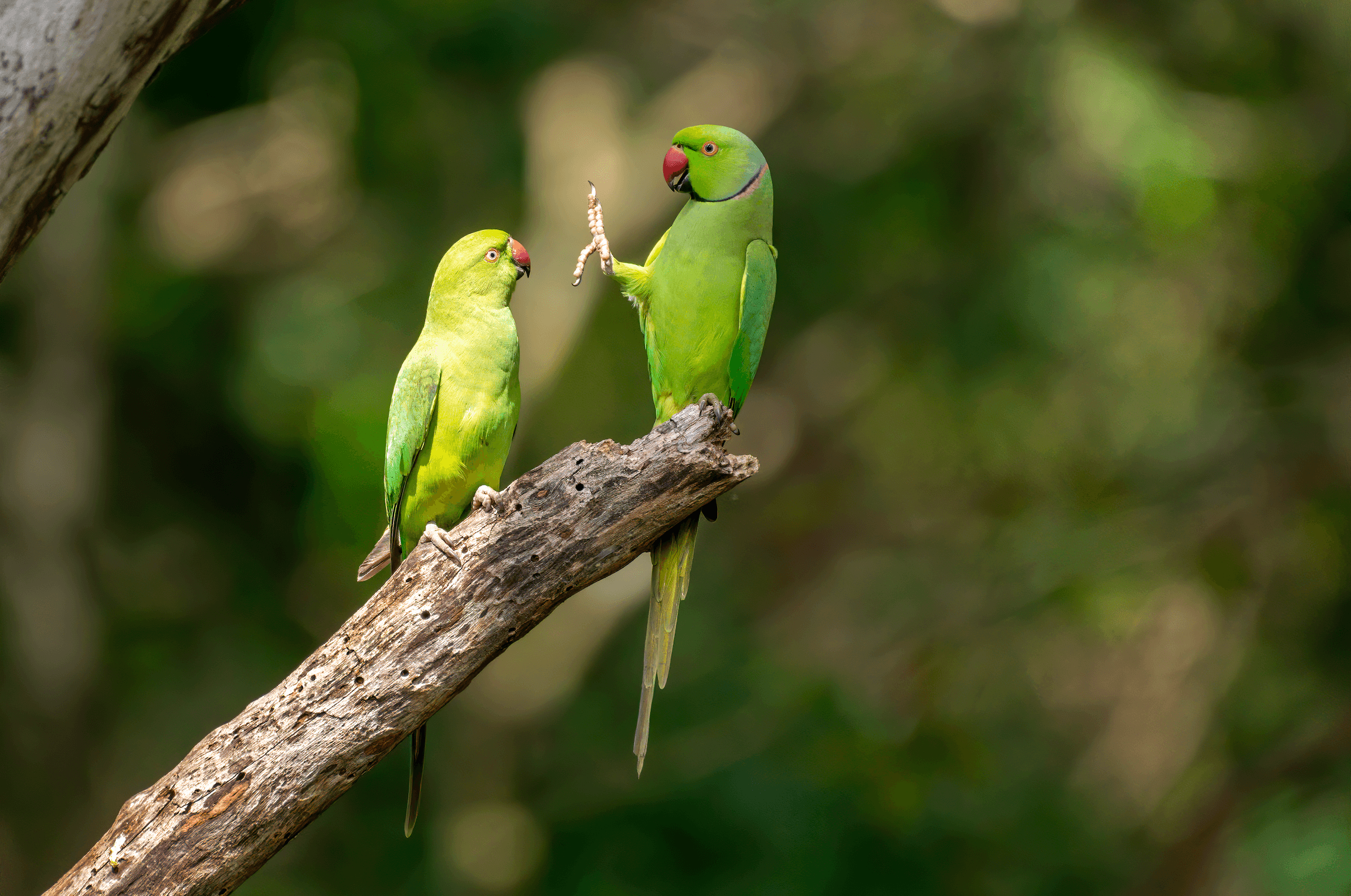 Social distance, please! by Petr Sochman