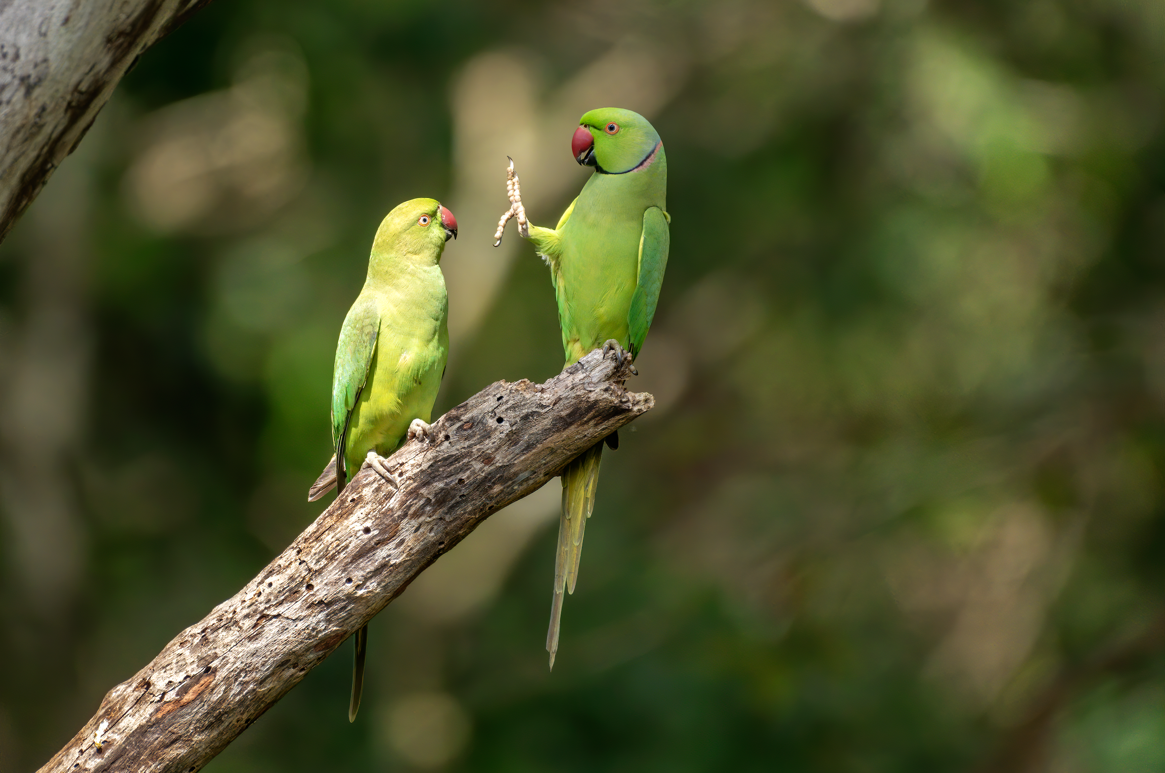 Social distance, please! by Petr Sochman