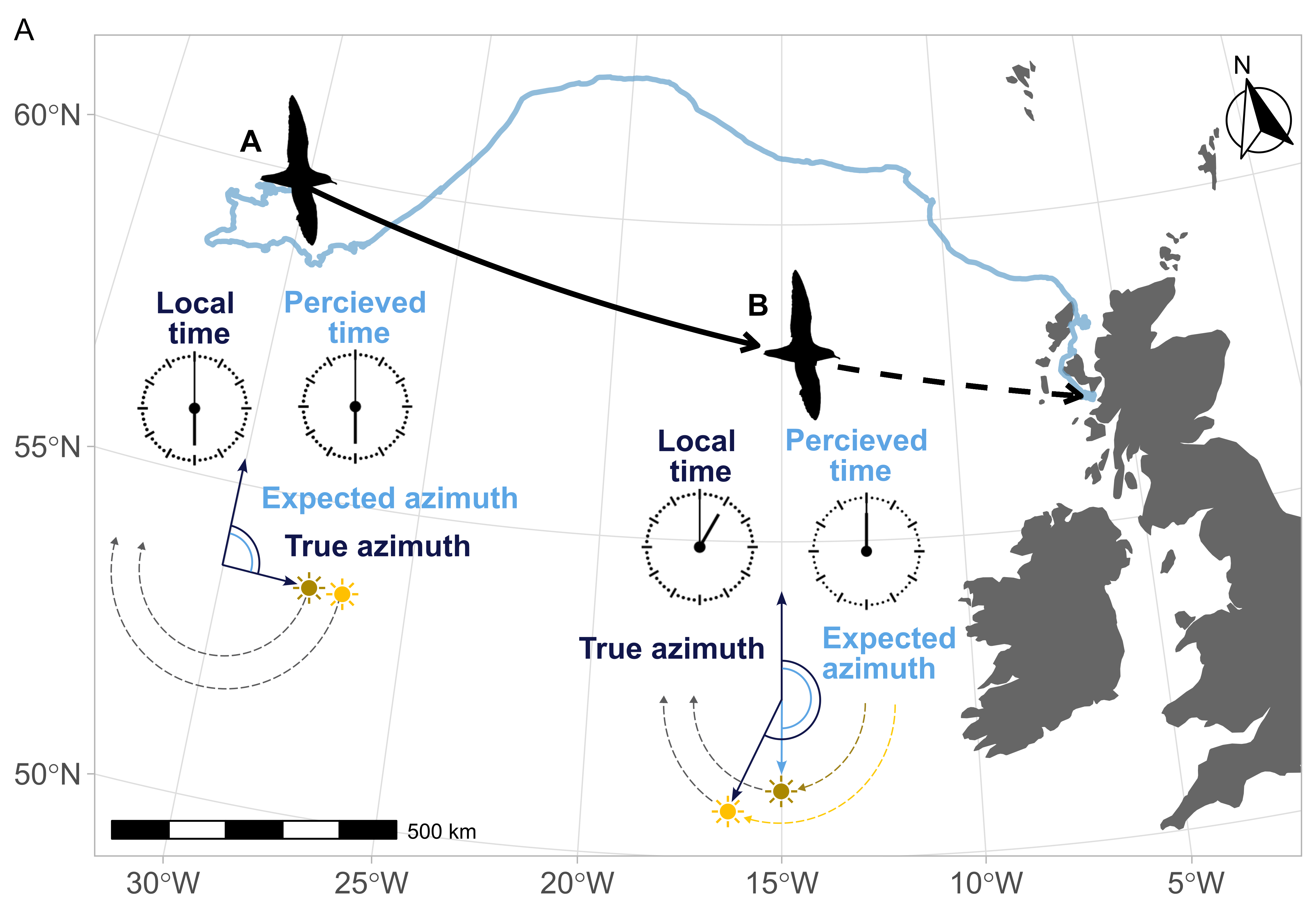 Shearwater study infographic