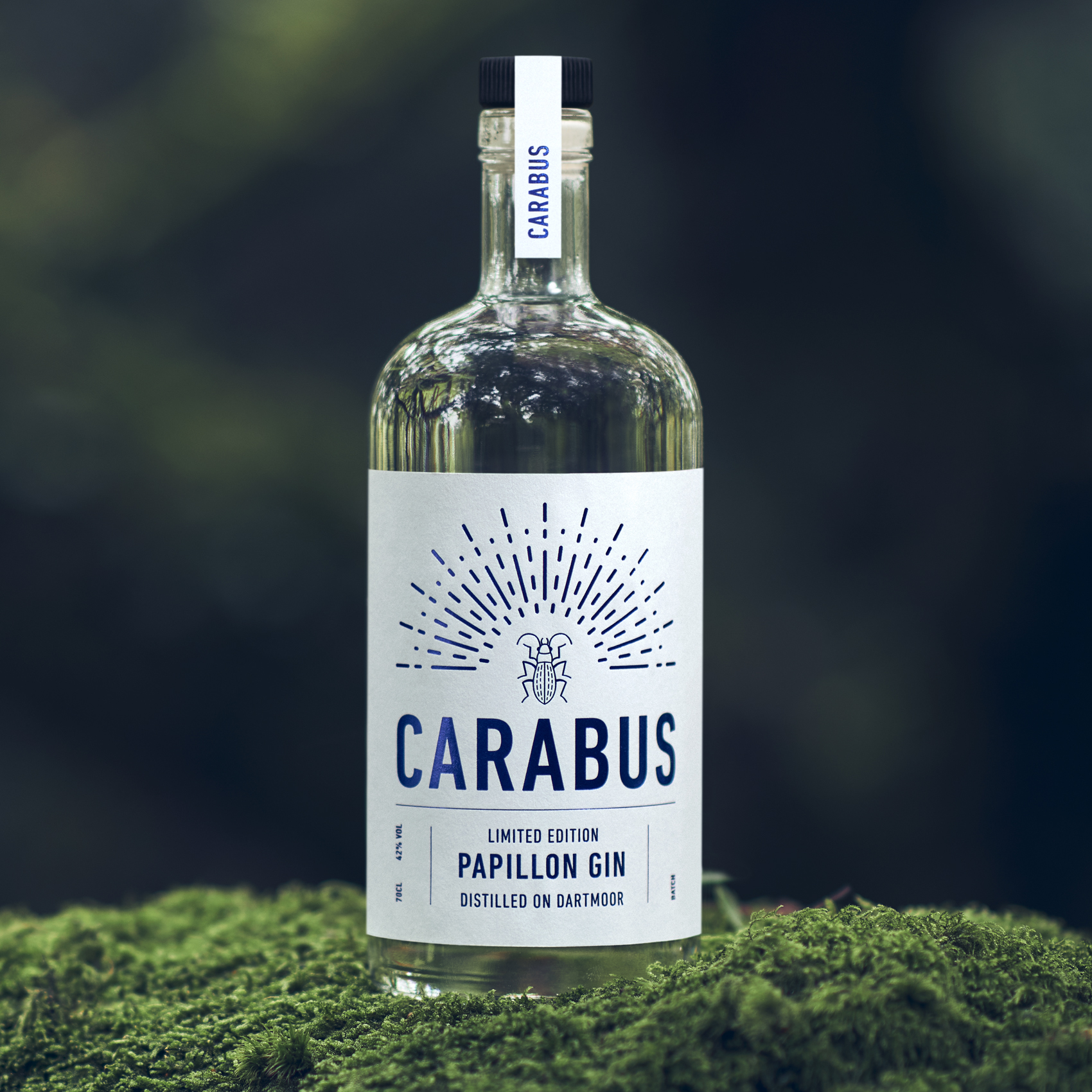 Carabus gin