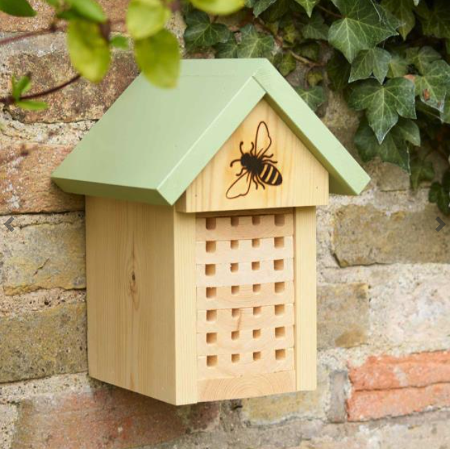 Solitary bee home