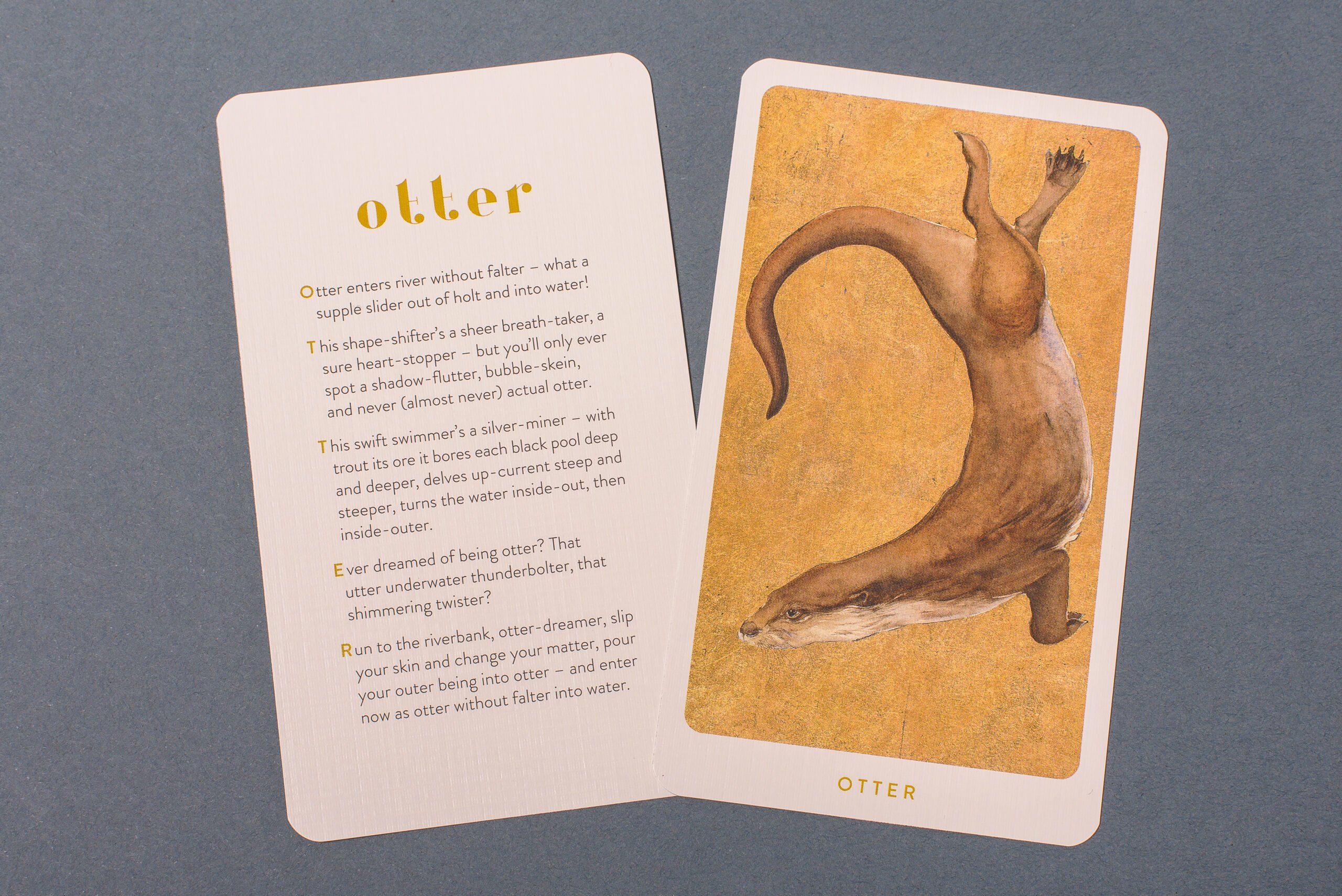 The Lost Words - otter