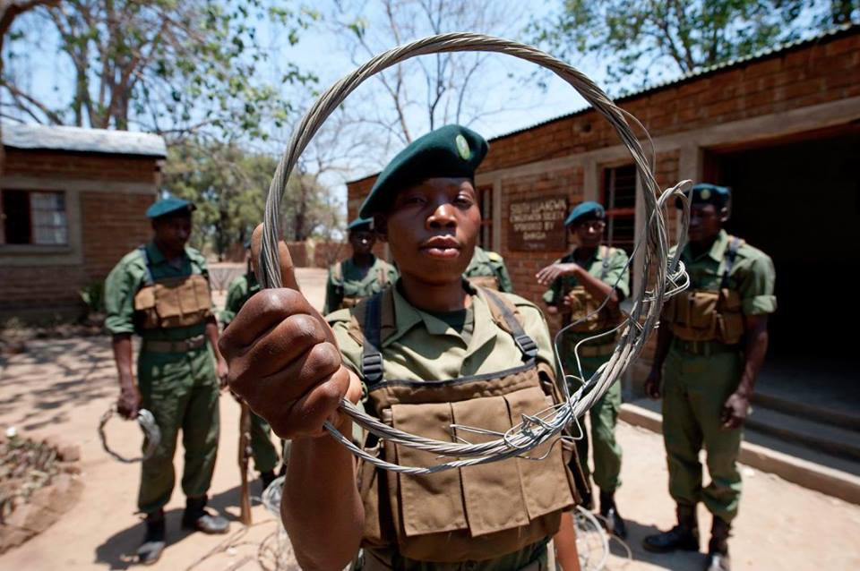 Rangers with Snare Close Up. Dana Allen
