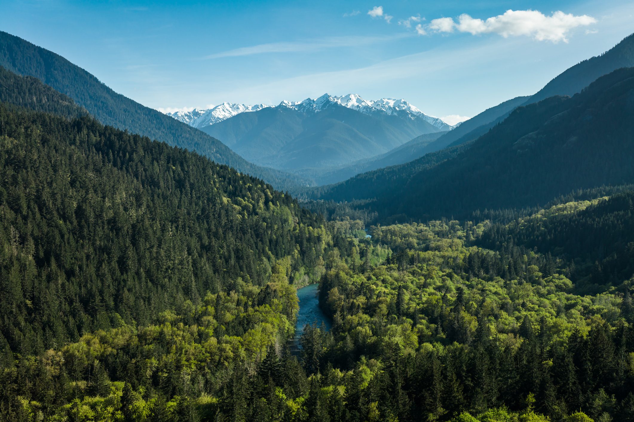 Aerial shot of a scenic valley carved by the Elwaha River