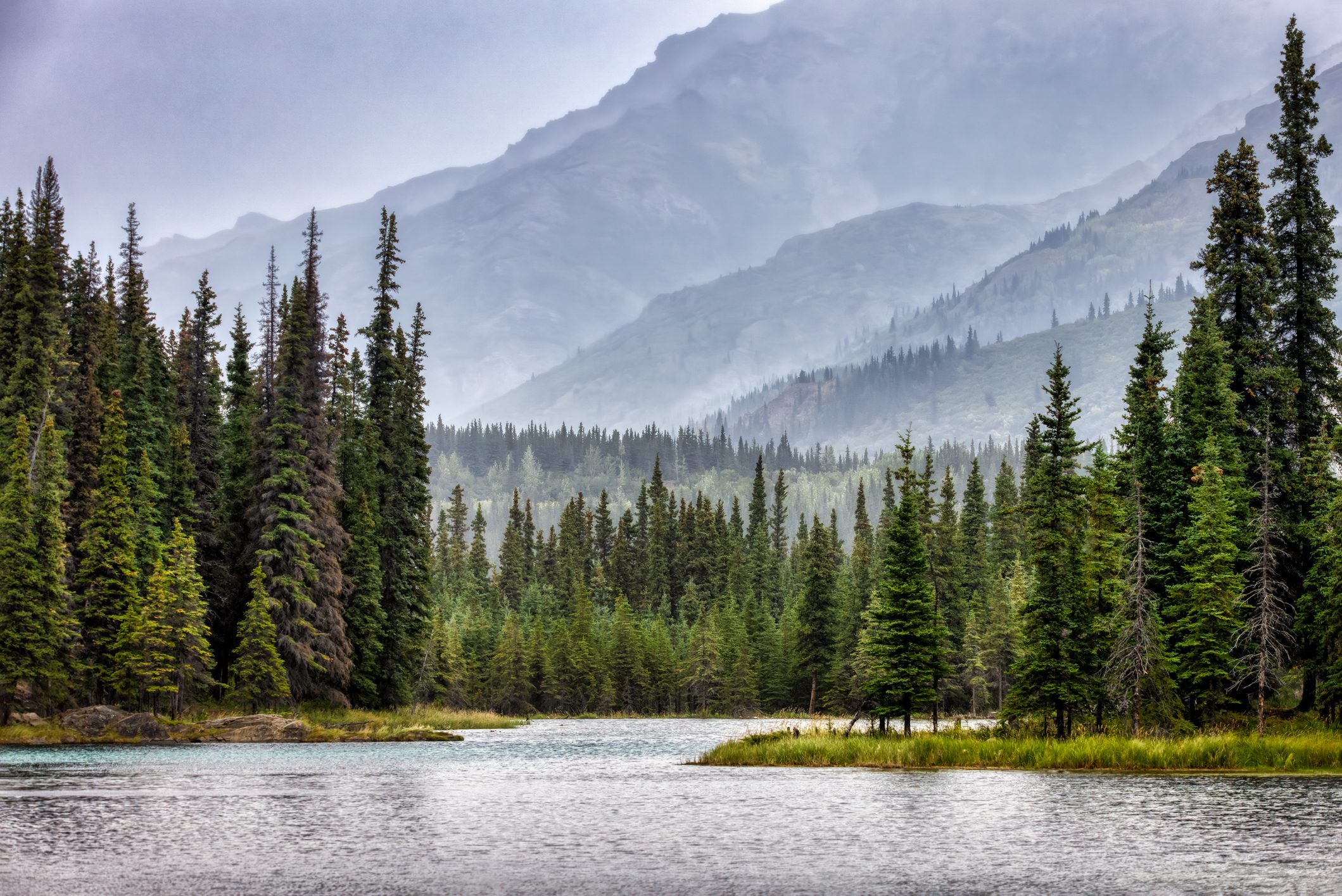 Scenic view of lake by trees against sky,Denali National Park,Alaska,United States,USA