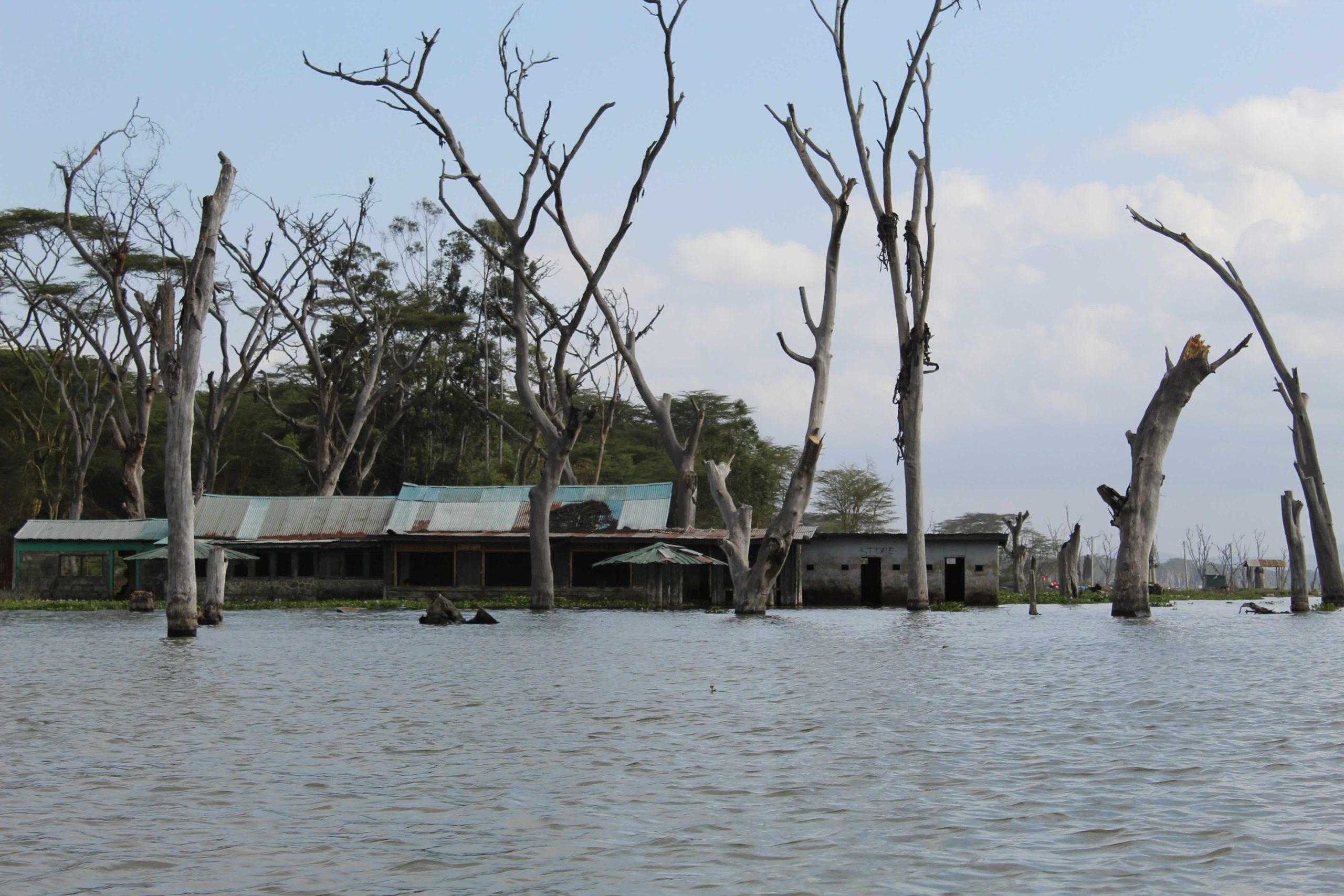 Submerged buildings on Crescent Island