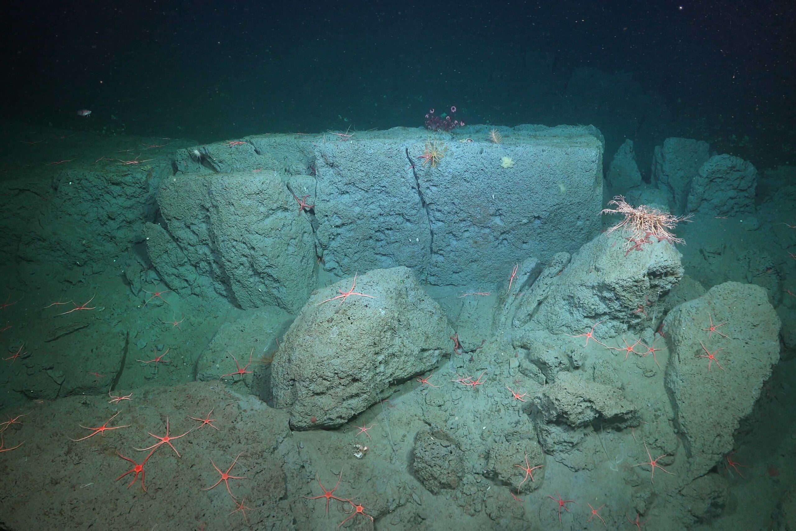 Rocky undersea structures