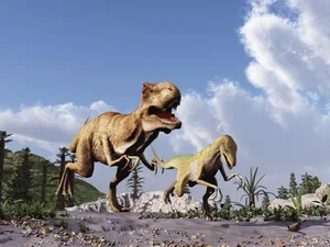 iStock_000045055788_rectangle-83de936 Tyrannosaurus rex's speed was compromised by its weight. © estt/iStock