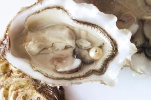 Halved fresh oyster with oyster pearl. © ImageBROKER/Alamy Halved fresh oyster with oyster pearl.