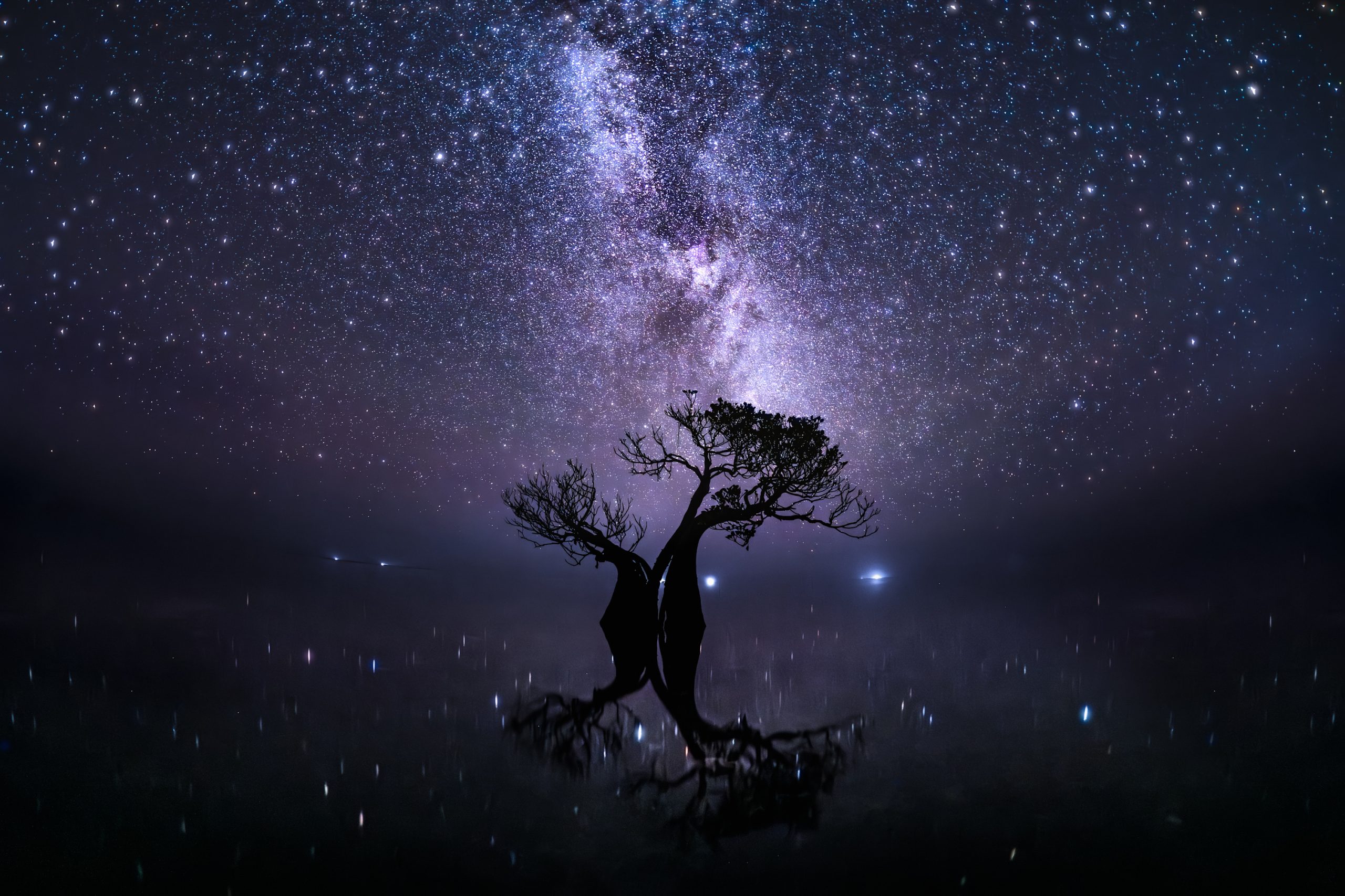 A lone mangrove tree stands in still, shallow water beneath a star-filled night sky. The silhouette of the tree is reflected on the calm surface, while the bright band of the Milky Way stretches overhead, illuminating the scene with shades of blue and purple. Small points of light are mirrored in the water, creating a striking and atmospheric landscape.