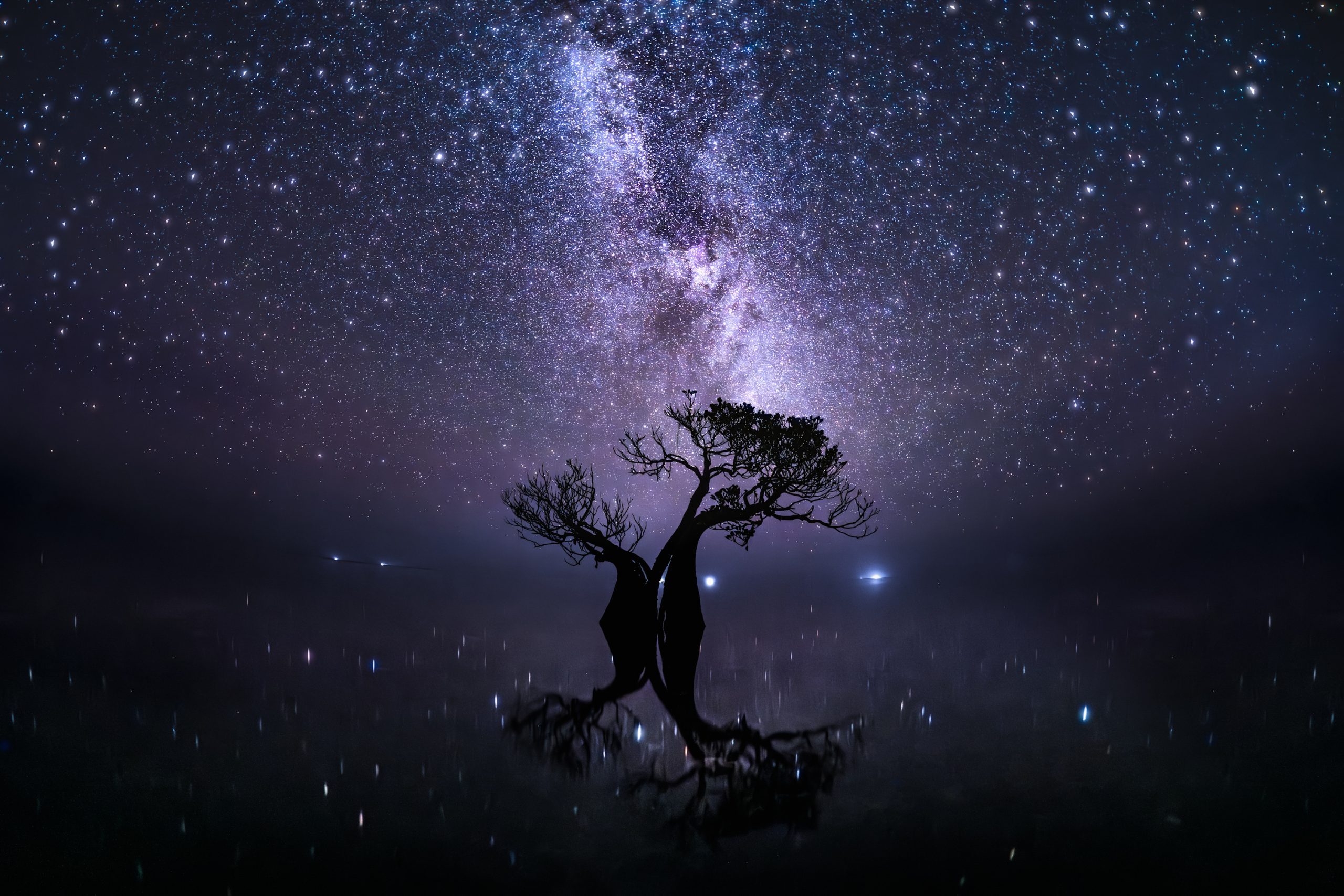 A lone mangrove tree stands in still, shallow water beneath a star-filled night sky. The silhouette of the tree is reflected on the calm surface, while the bright band of the Milky Way stretches overhead, illuminating the scene with shades of blue and purple. Small points of light are mirrored in the water, creating a striking and atmospheric landscape.