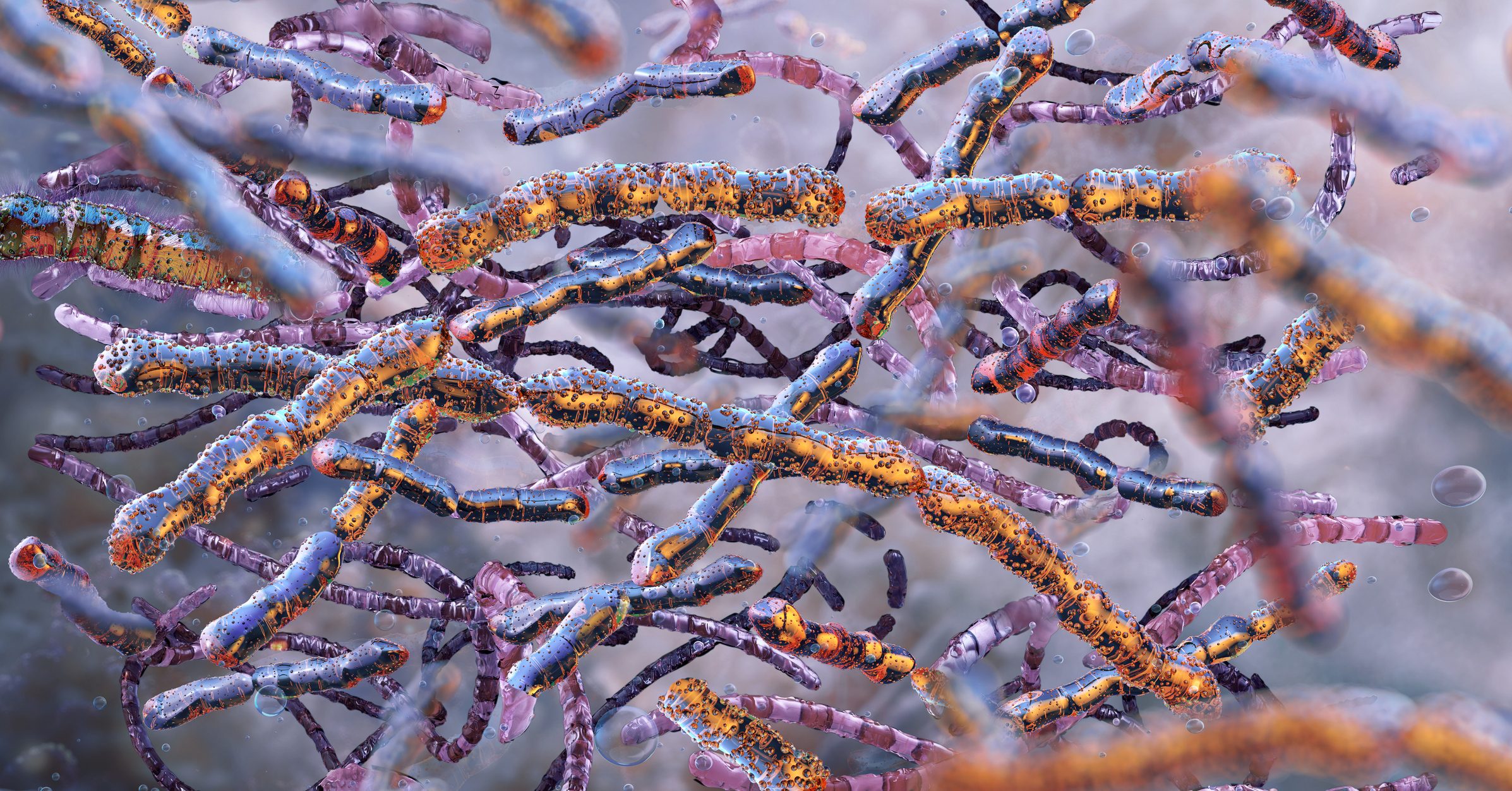 Bacillus anthracis, 3D illustration.