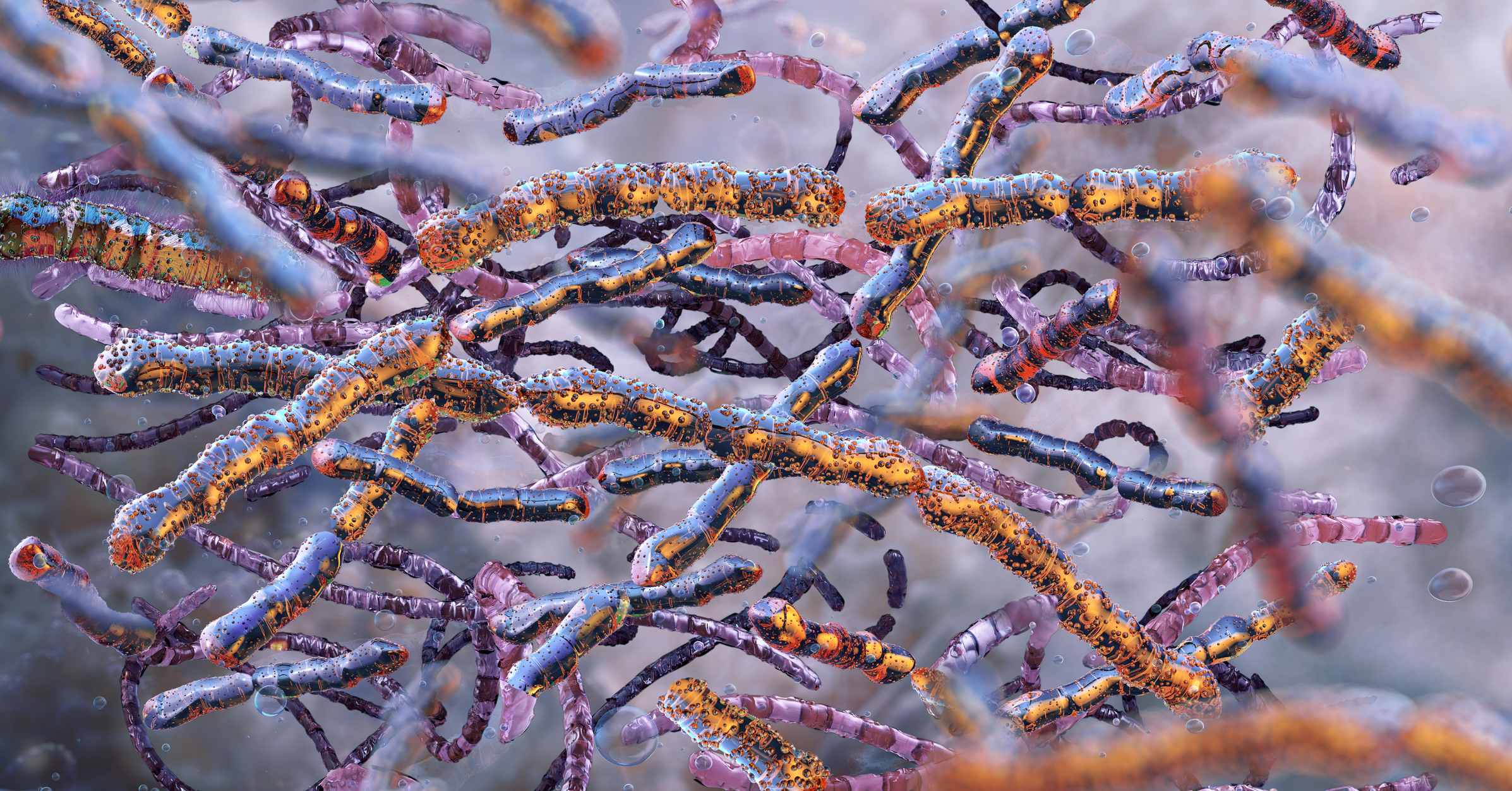 Bacillus anthracis, 3D illustration.
