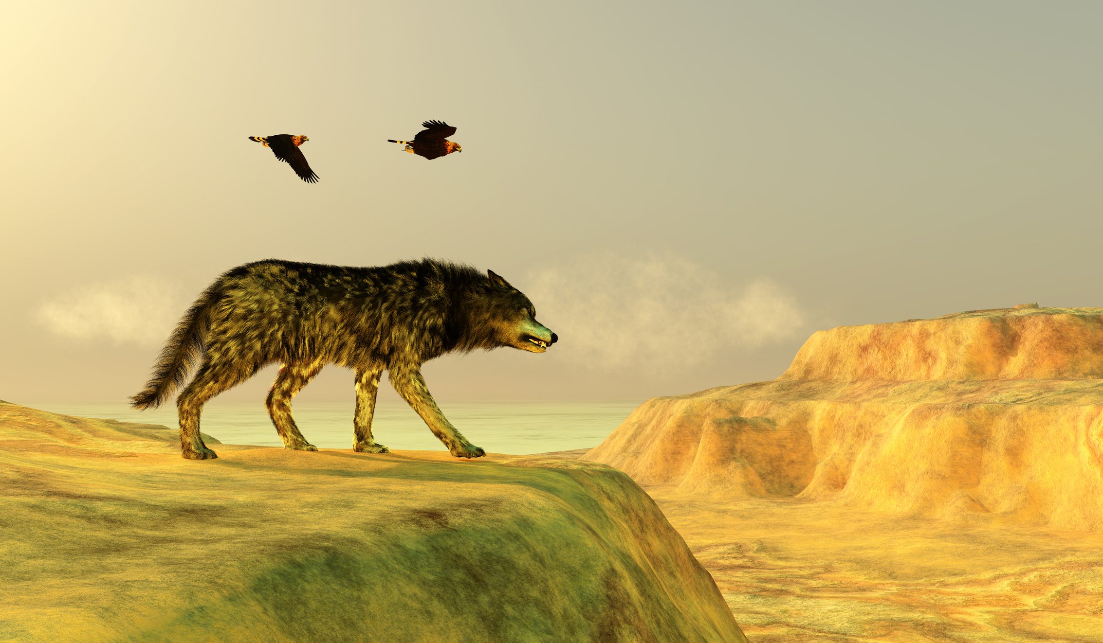 Two Golden Eagles fly over a Dire Wolf - illustration