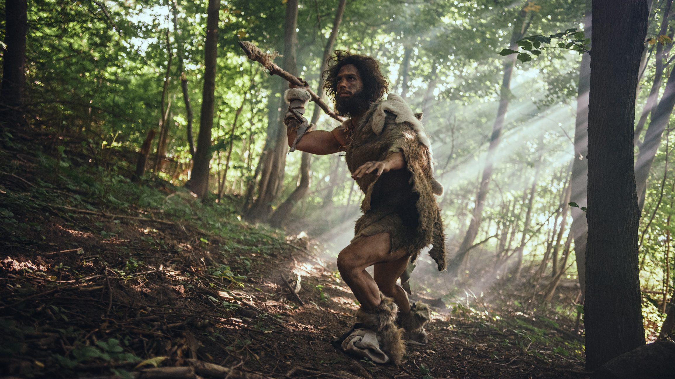 Primeval Caveman Wearing Animal Skin Holds Stone Tipped Spear Looks Around, Explores Prehistoric Forest in a Hunt for Animal Prey.