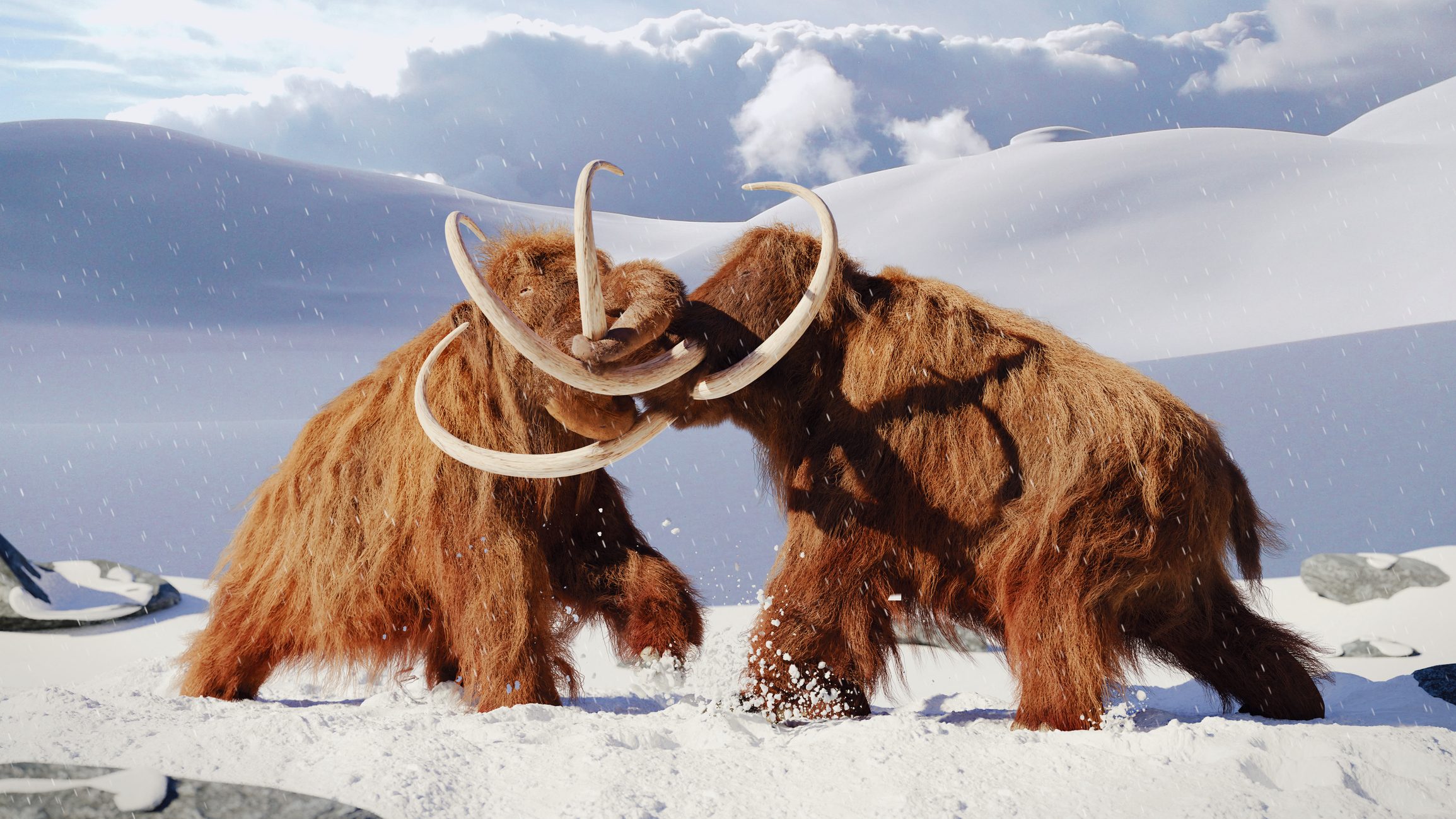 two prehistoric mammoths fighting
