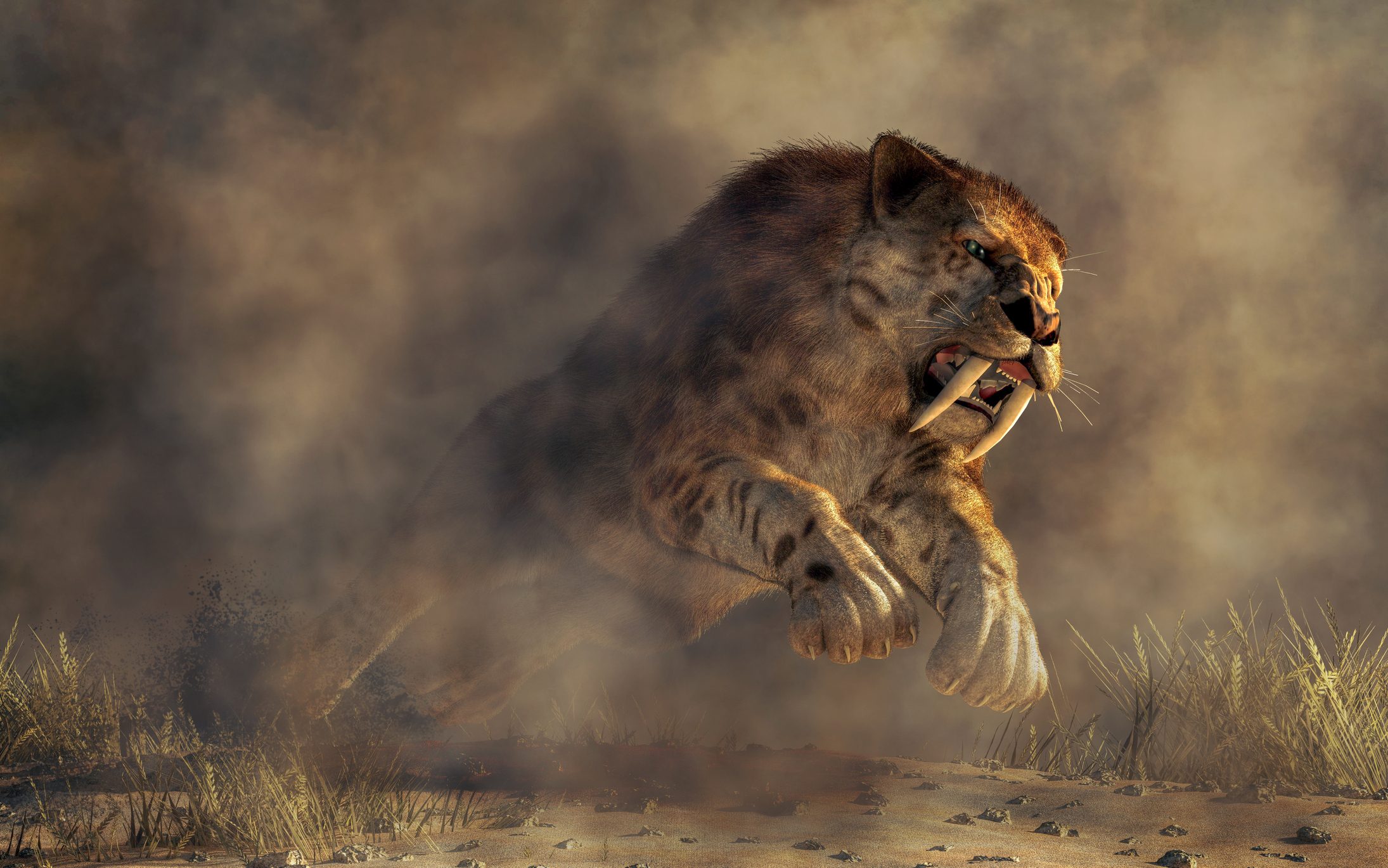 Kicking up a spray of dirt, a massive smilodon leaps out of the murky mists. 