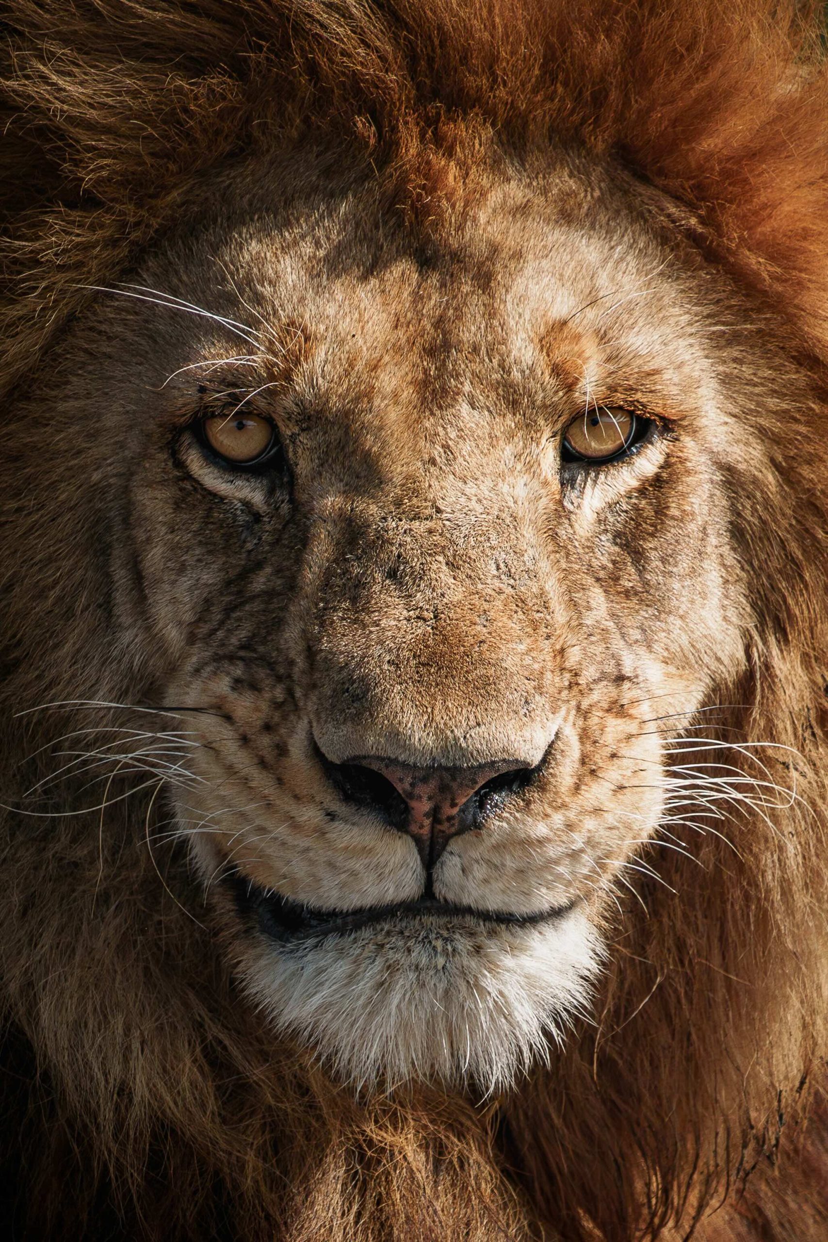 Tanzania
