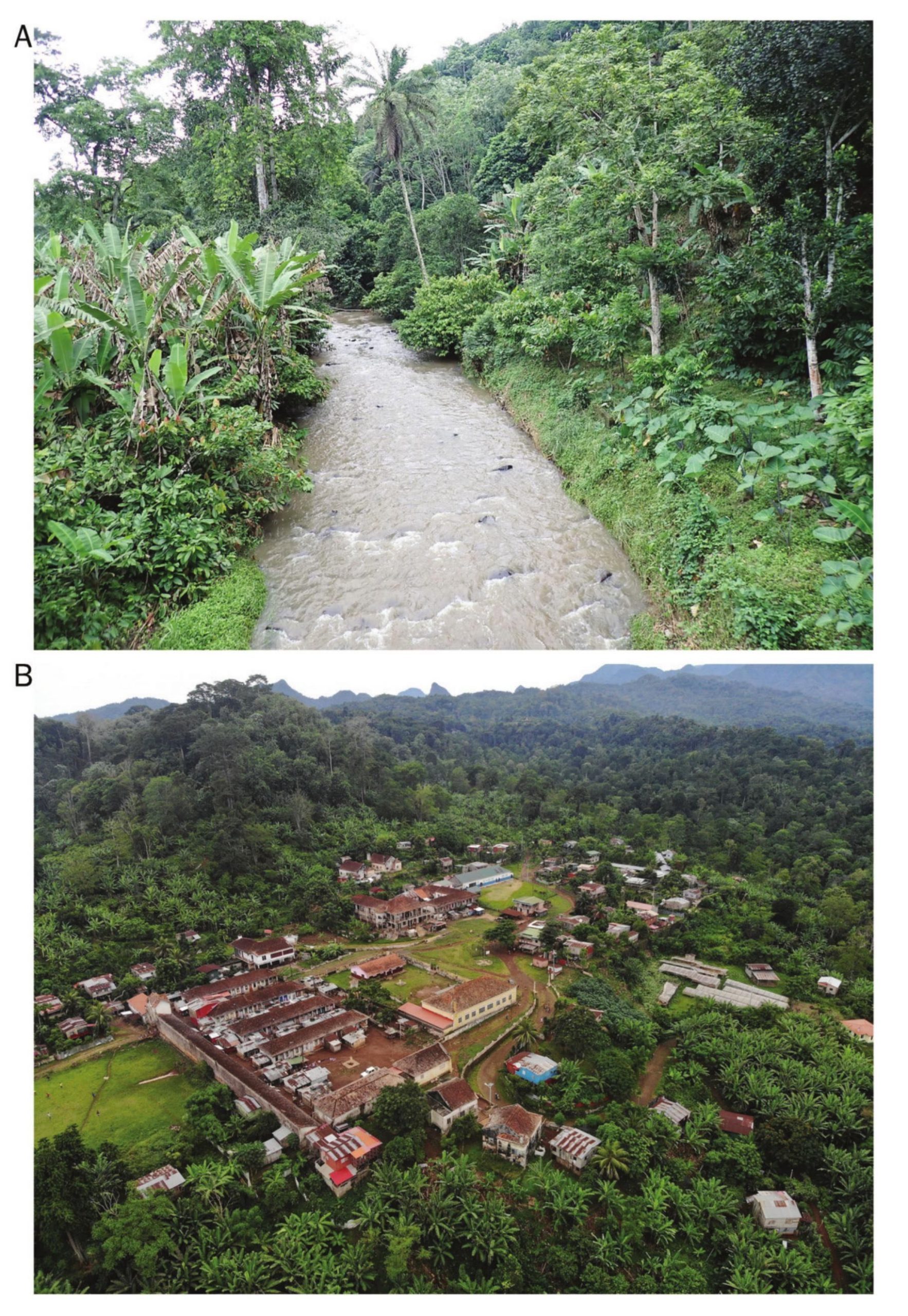 Rio Manuel Jorge