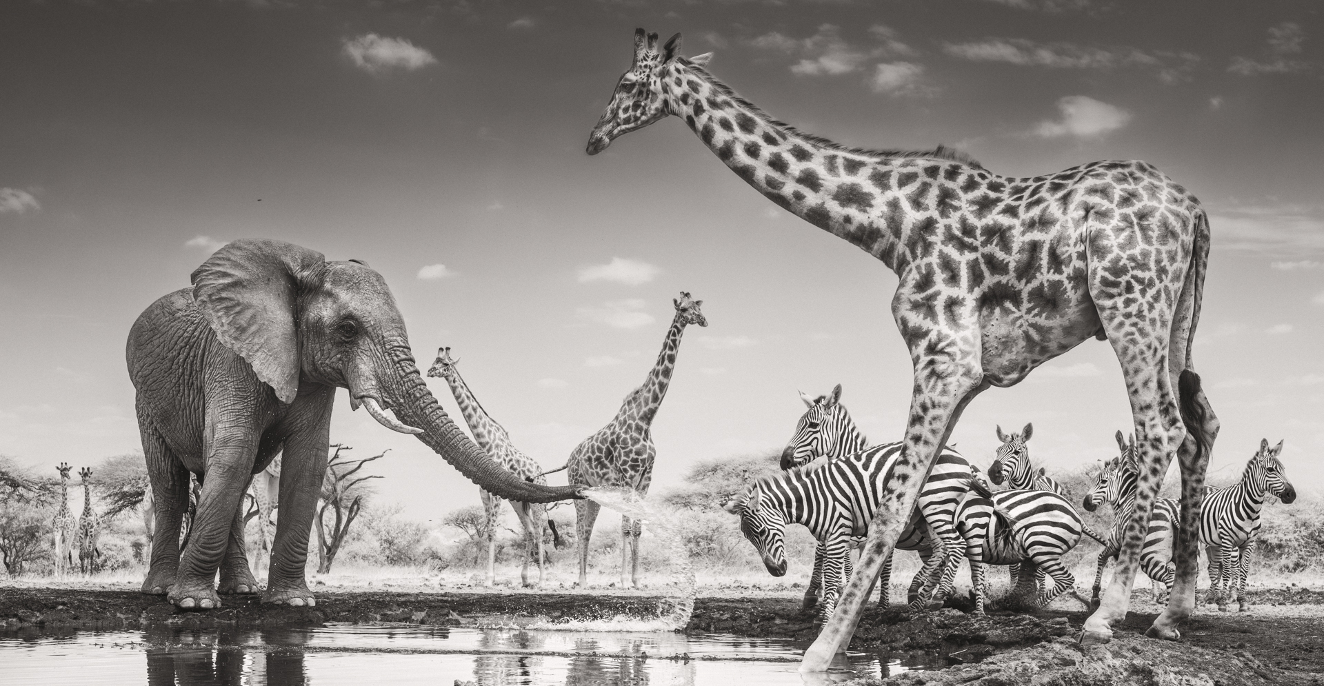 The Meeting Place by James Lewin