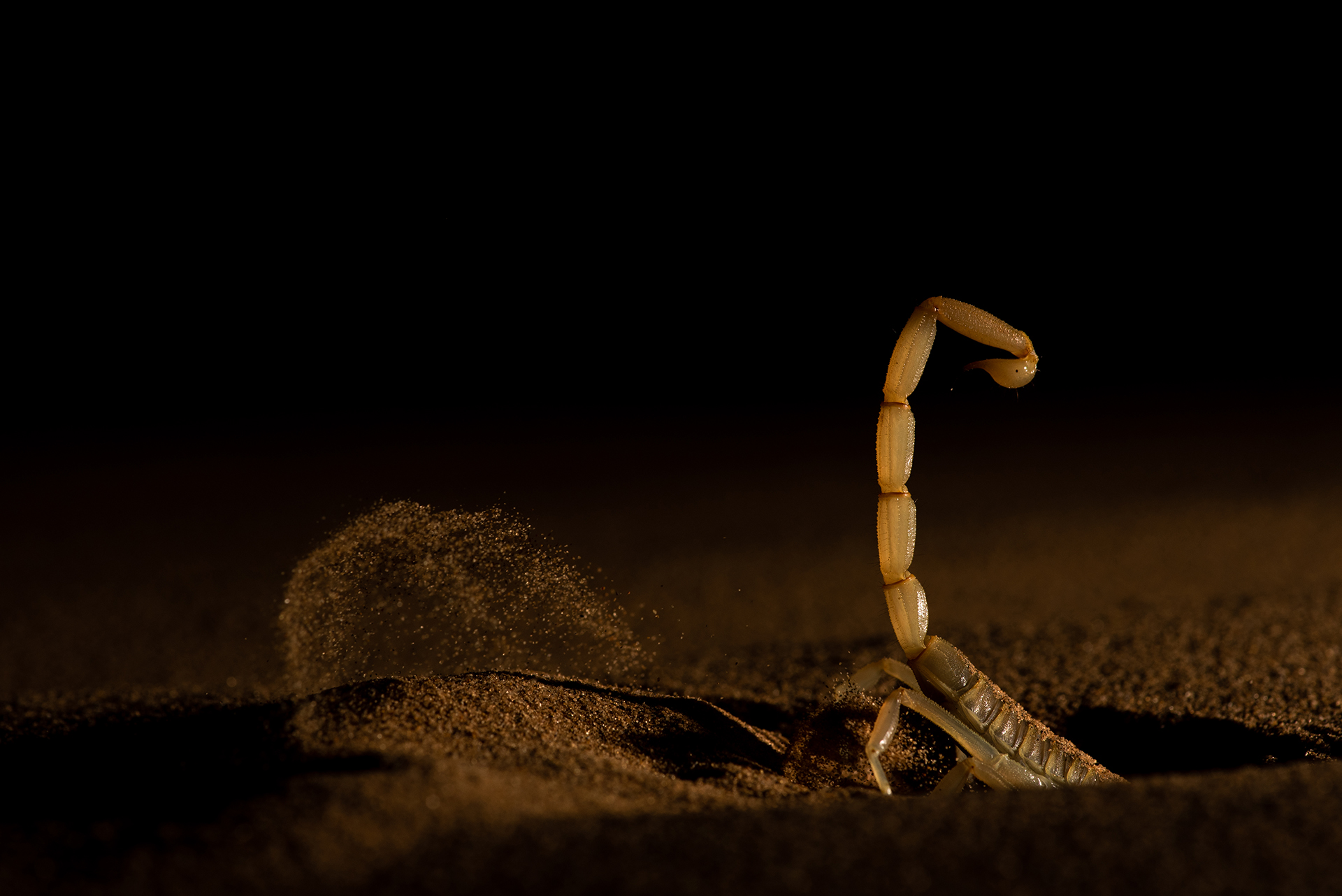 Shifting Sand by Sitaram Raul