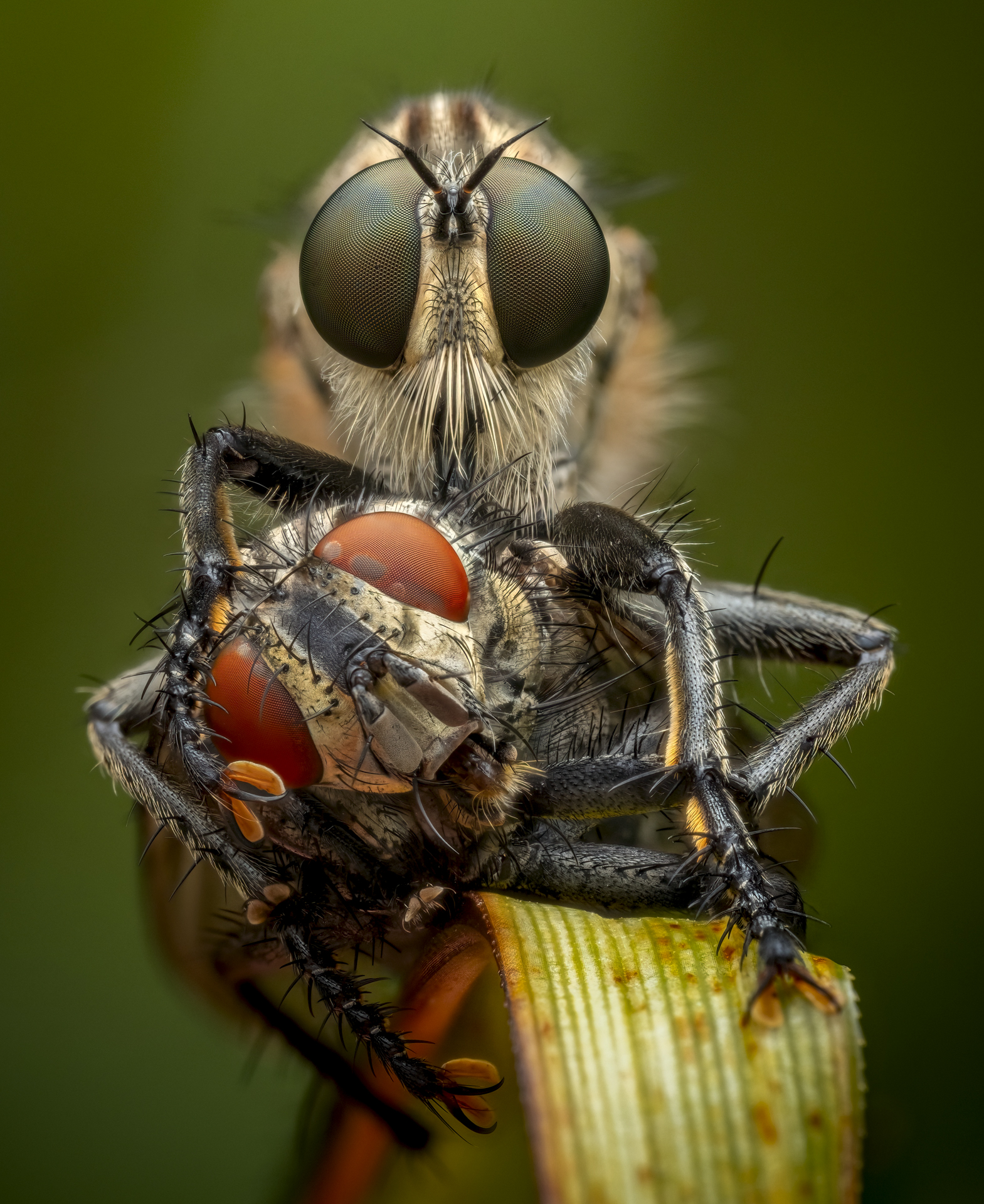 Afternoon Snack by Alexis Tinker-Tsavalas