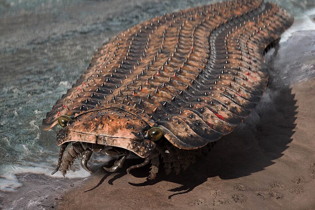 Arthropleura reconstruction
