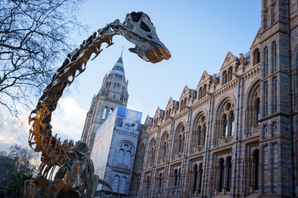 A skeleton model of a Diplodocus dinosaur is seen outside the Natural History Museum in South Kensington