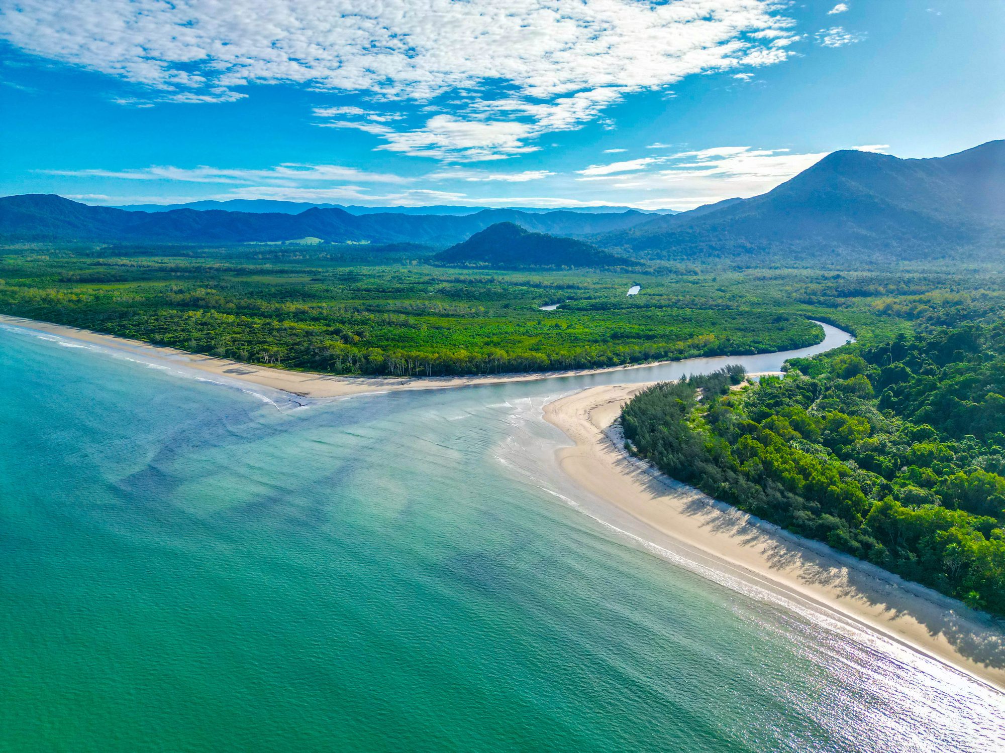 Daintree Rainforest