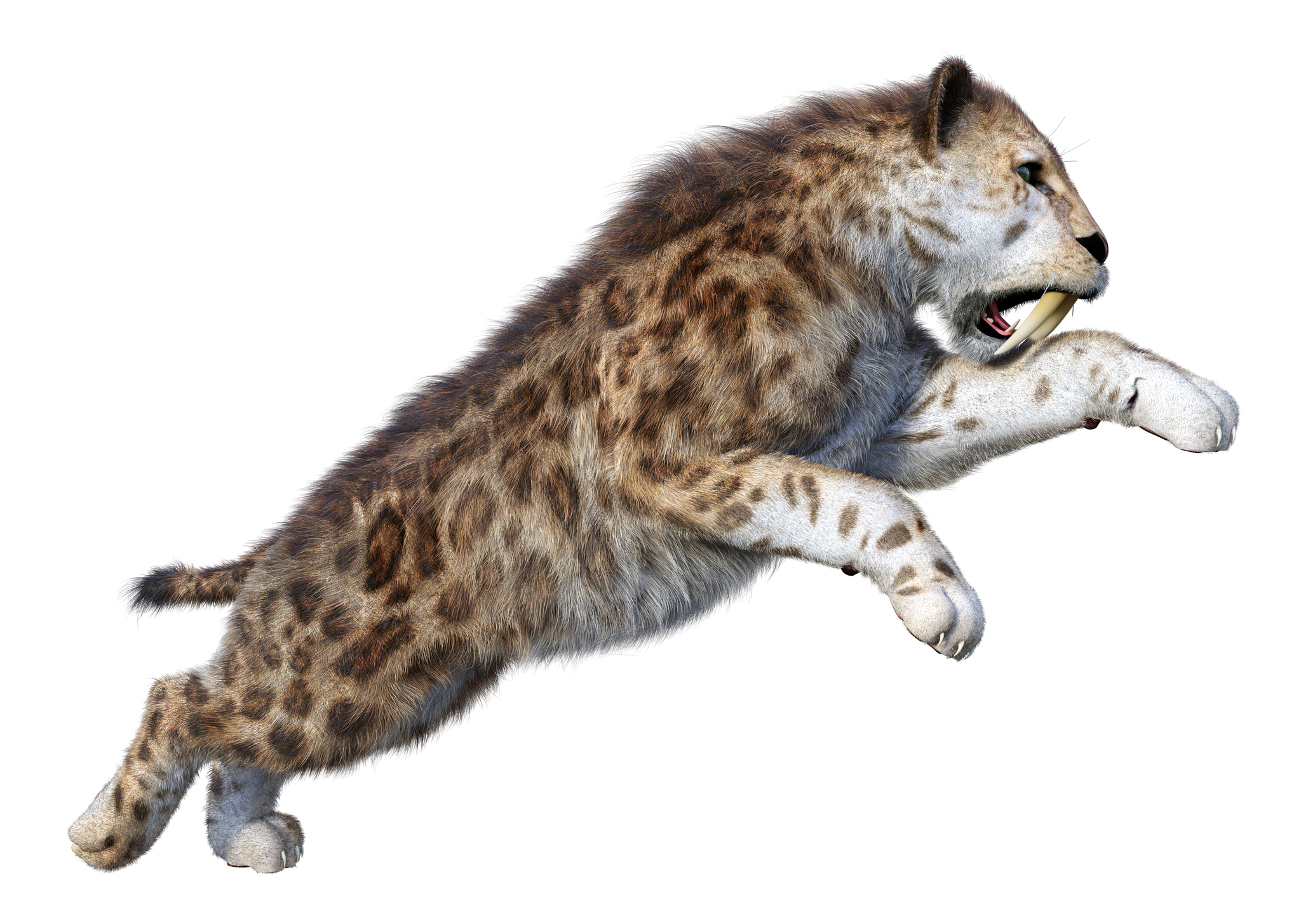 3D rendering of a sabre-toothed cat hunting