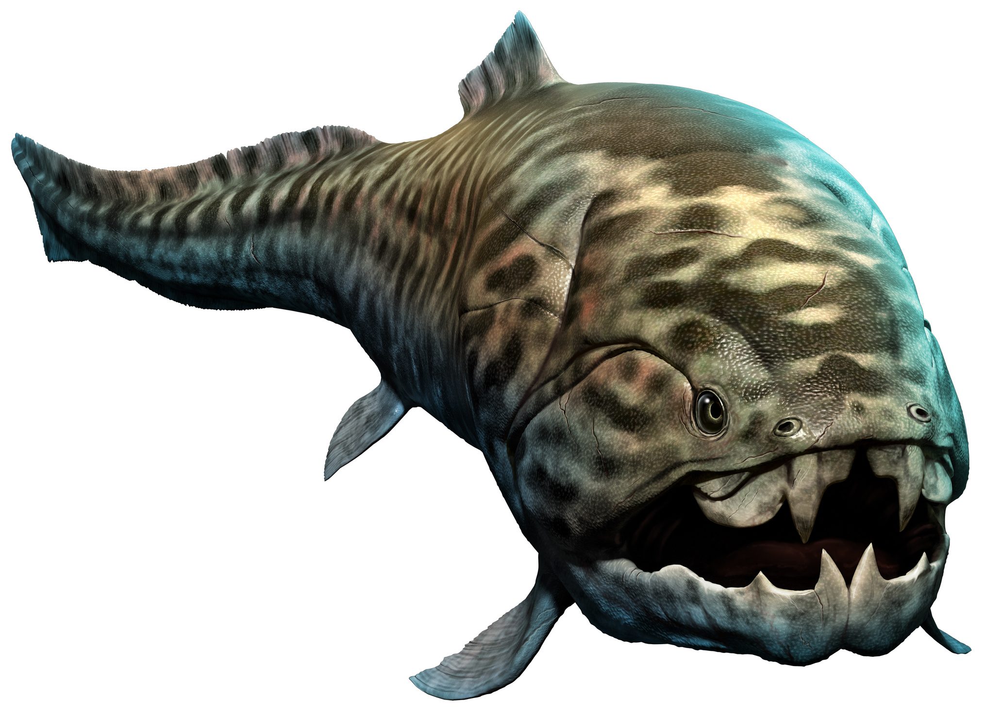 Dunkleosteus from the Devonian era 3D illustration
