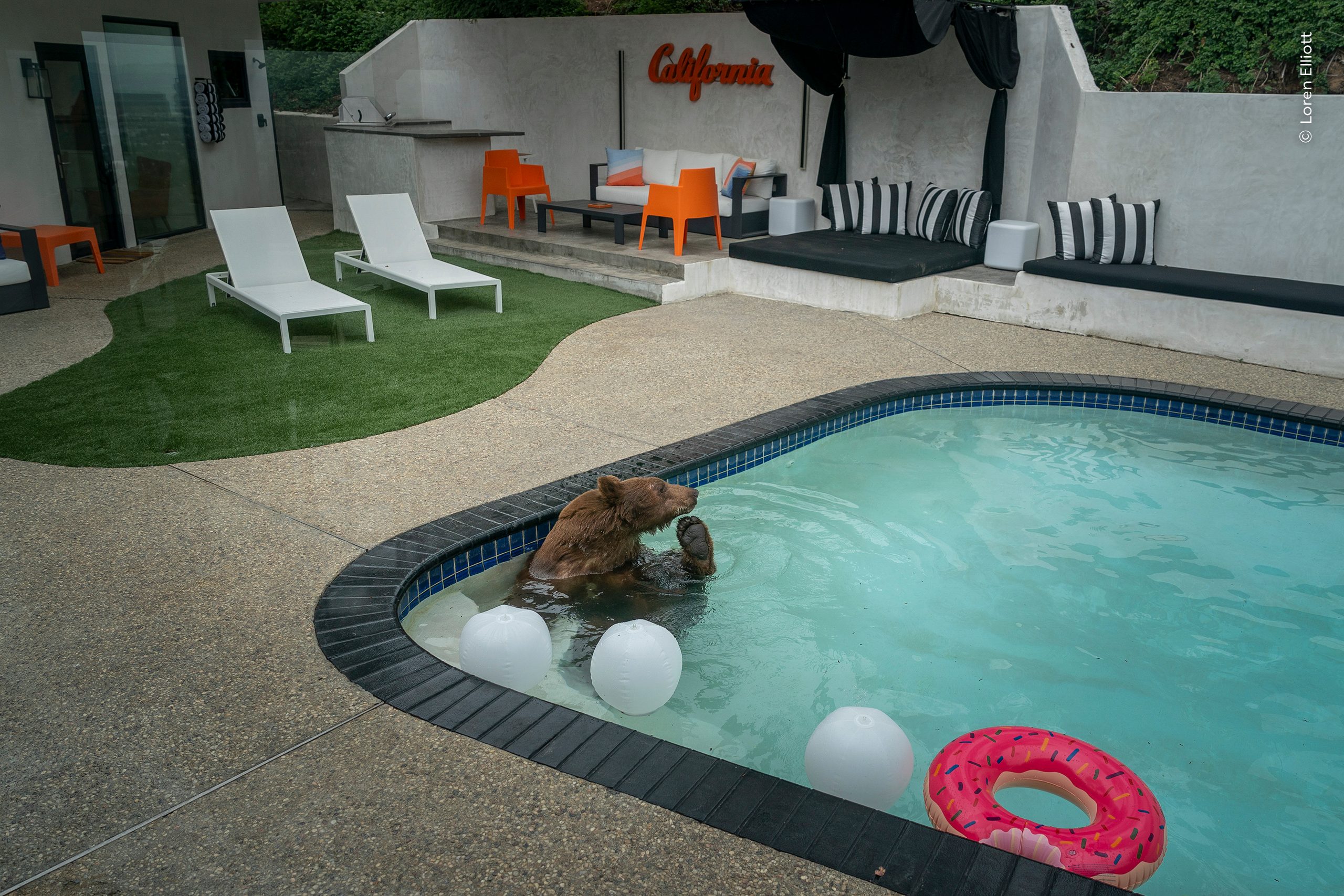 Pooltime Pastime by Loren Elliott