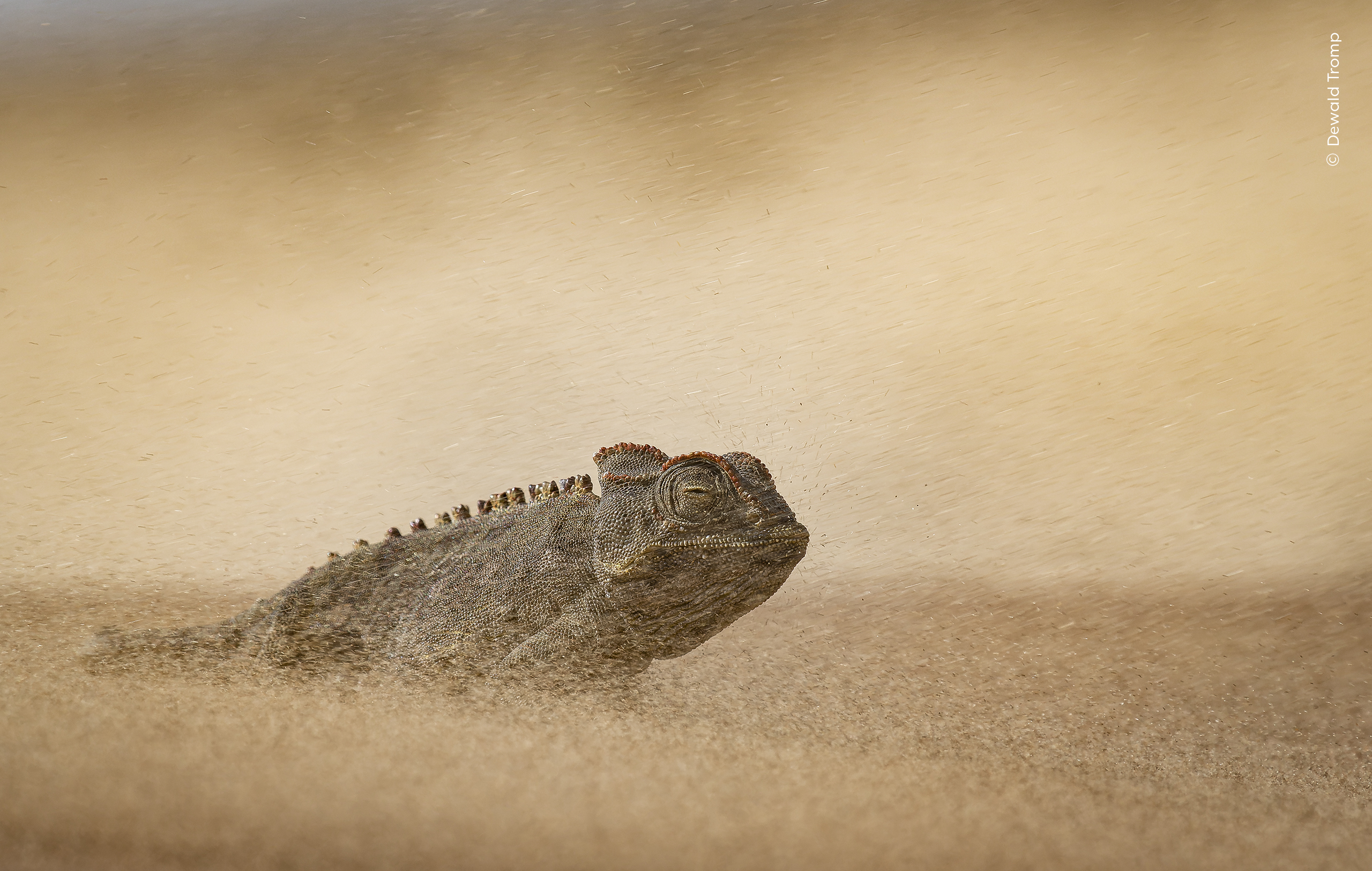 Eye of the Storm by Dewald Tromp