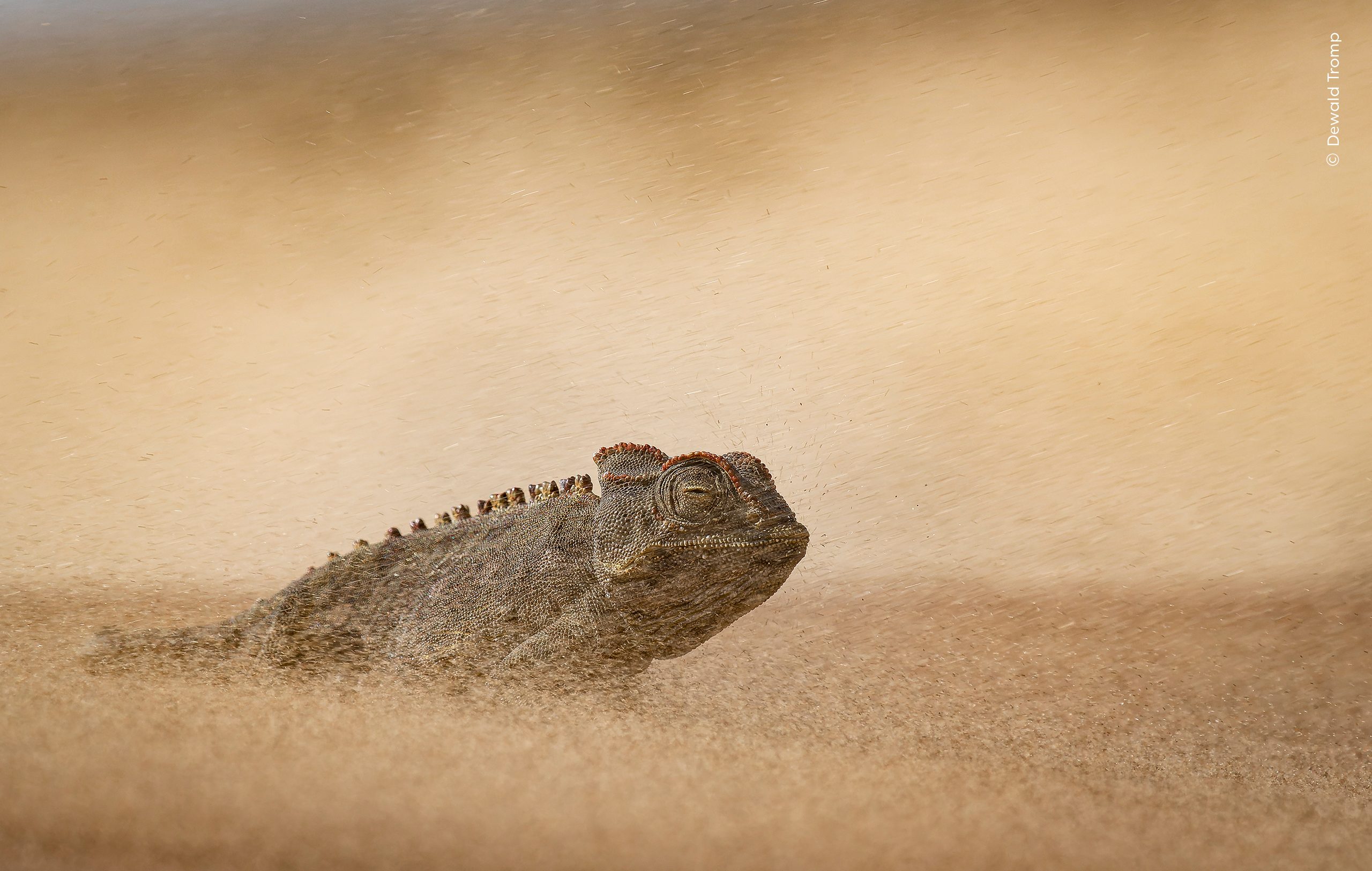 Eye of the Storm by Dewald Tromp