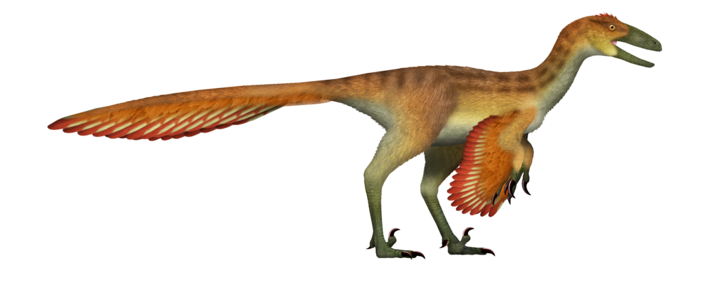 Deadliest dinosaurs Stenonychosaurus