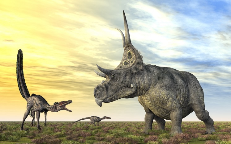 Deadliest dinosaurs Diabloceratops