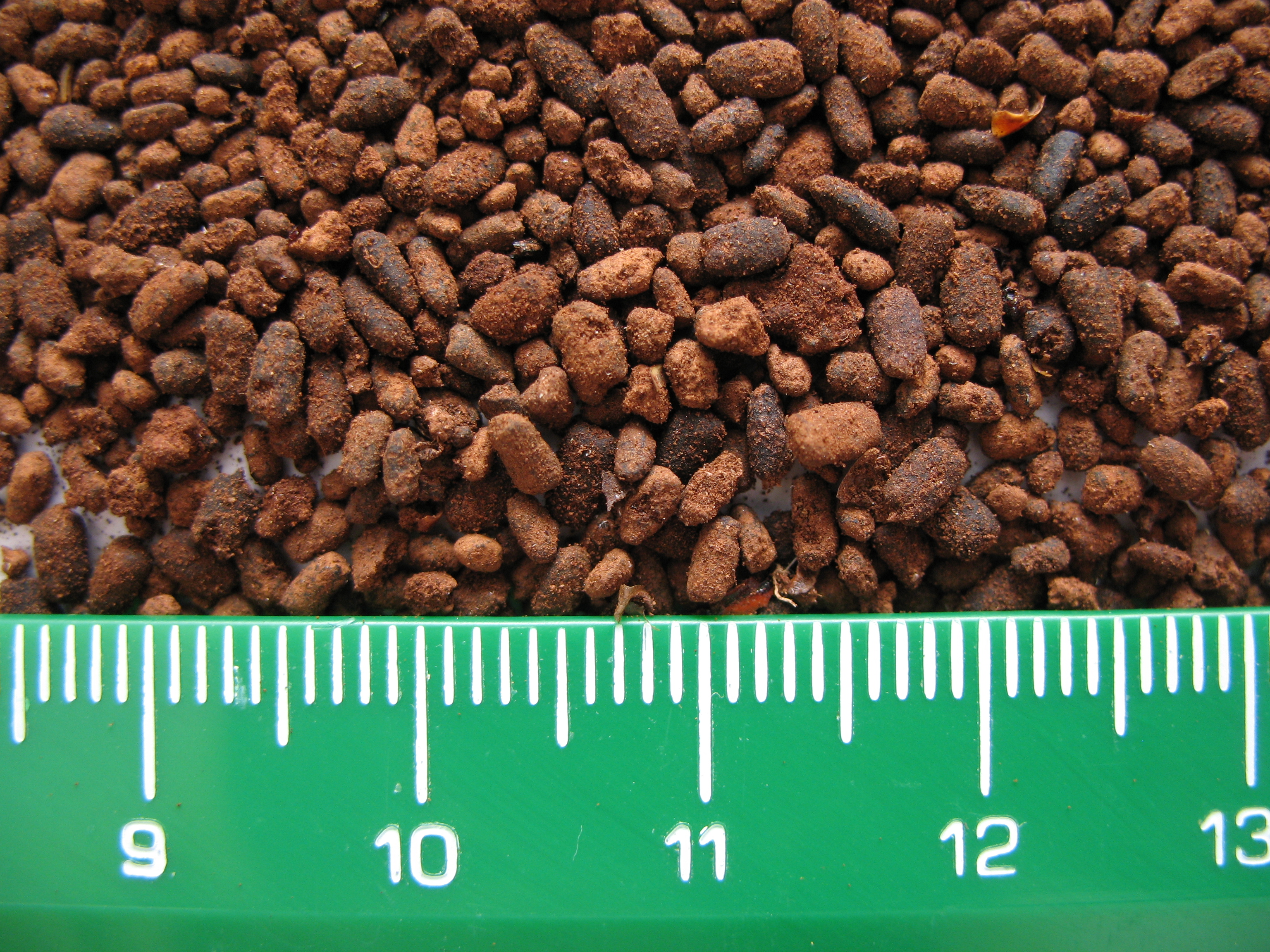 A collection of noble chafer frass.