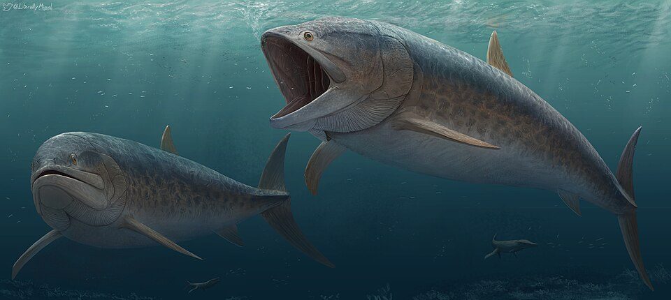 Life reconstruction of Leedsichthys problematicus