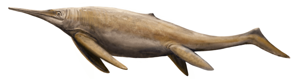 Ichthyotitan severnensis speculative restoration.