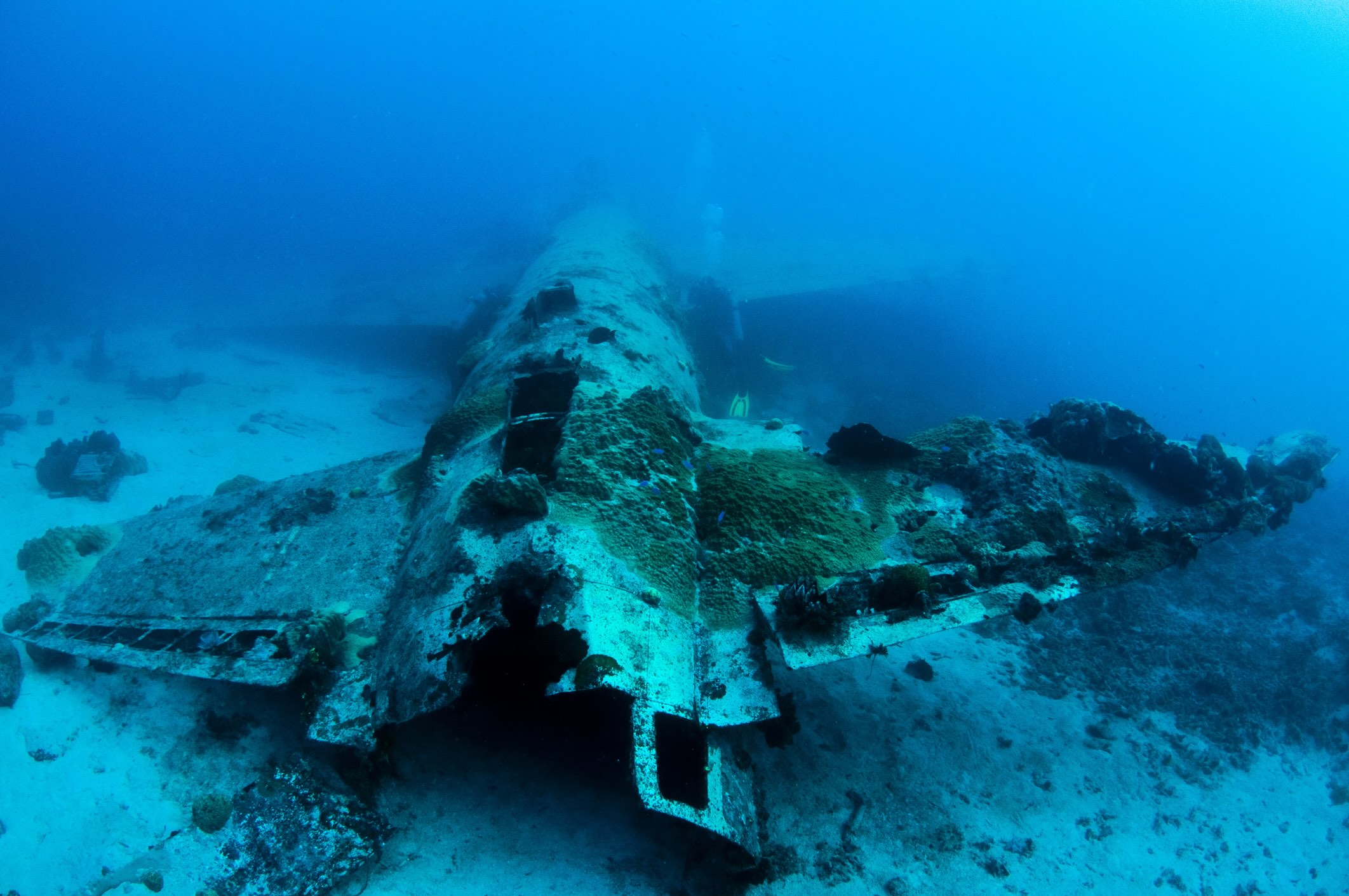 A plane wreck in Chuuk Lagoon