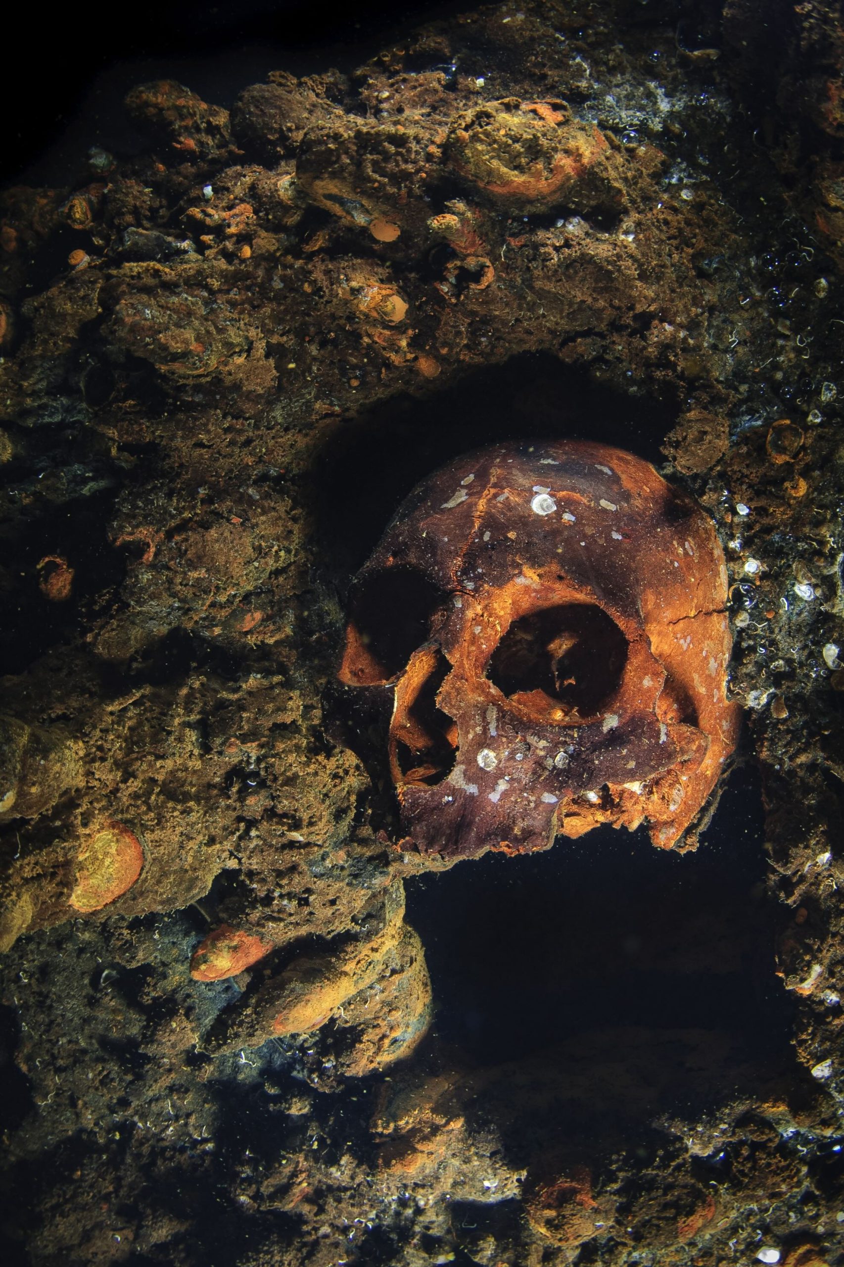 Skull in the engine room of the Yamagiri Maru shipwreck