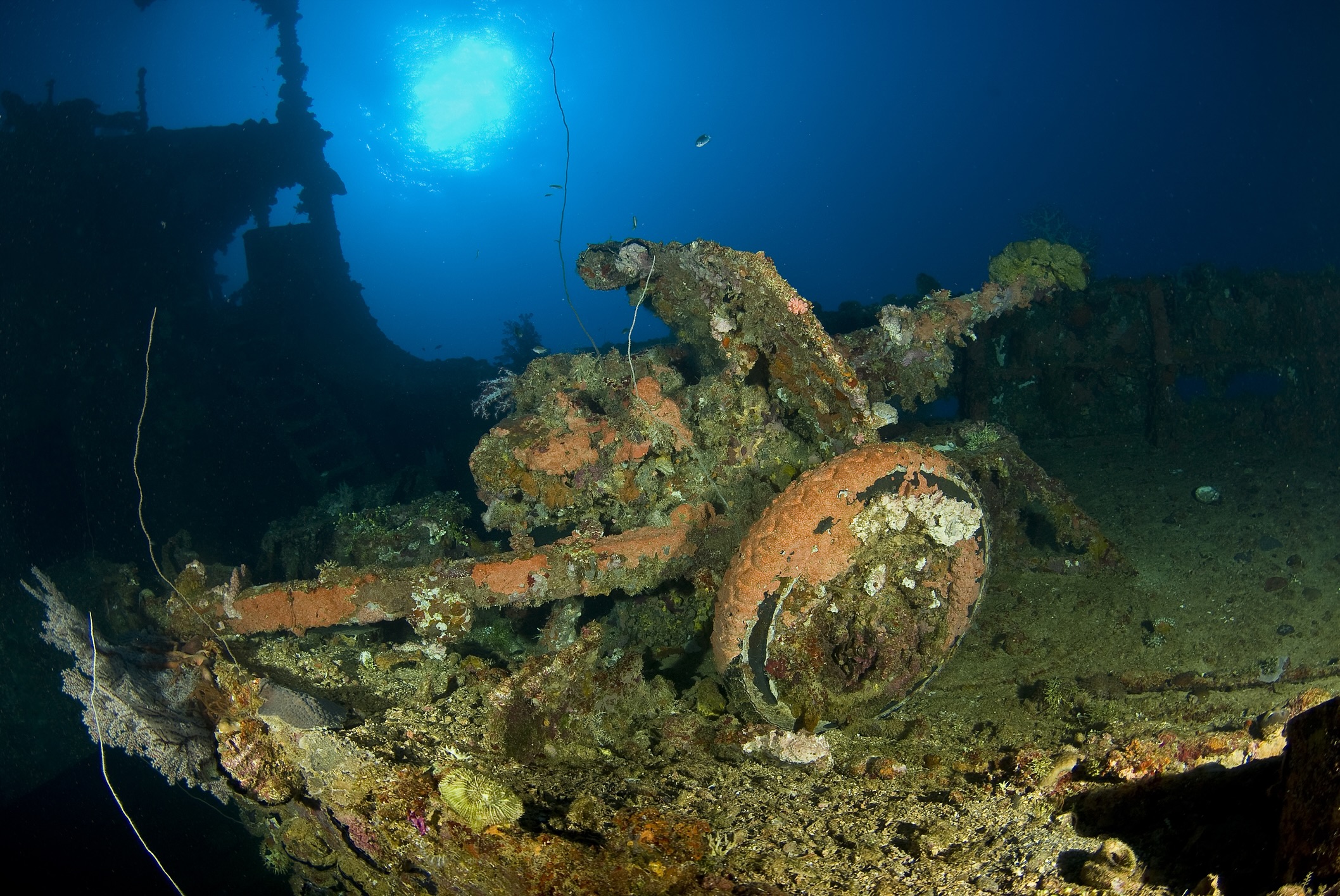 Artillery gun on the deck of a WWII ship in Truk Lagoon.